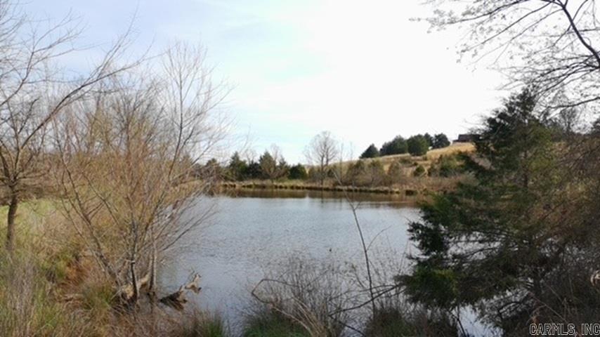 TBD. 62 acres Polk Road 85  Mena, AR