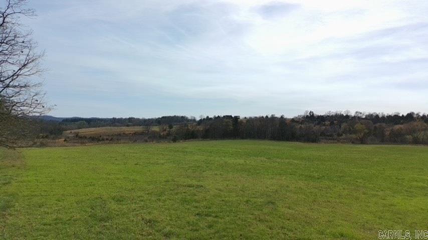 TBD. 62 acres Polk Road 85  Mena, AR