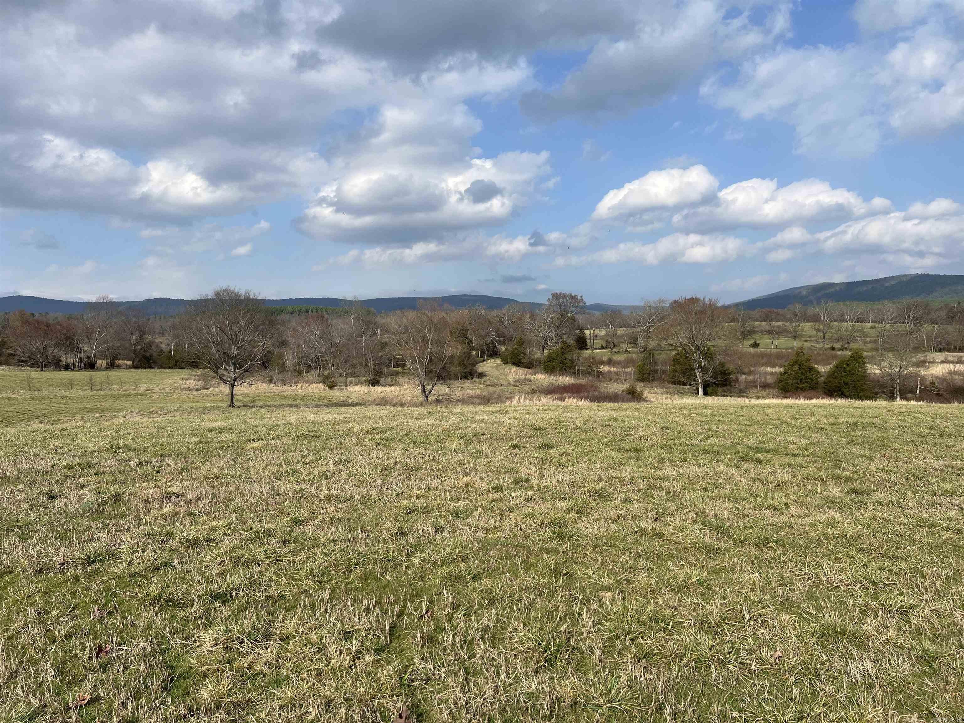 TBD. 62 acres Polk Road 85  Mena, AR