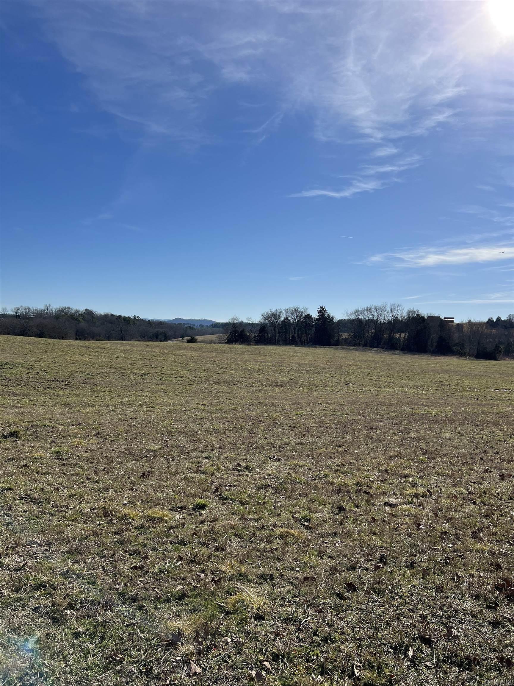 TBD. 62 acres Polk Road 85  Mena, AR