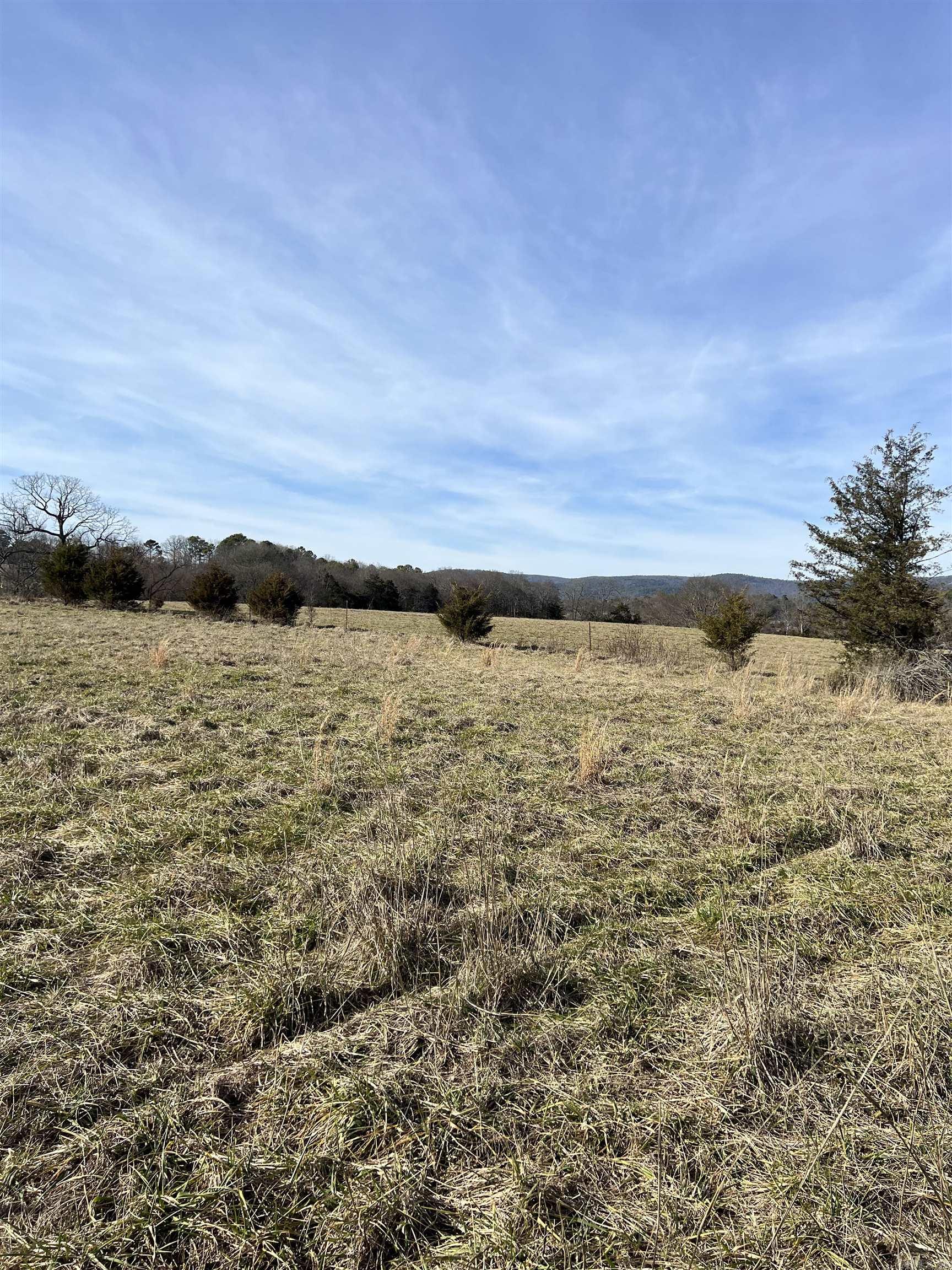 TBD. 62 acres Polk Road 85  Mena, AR