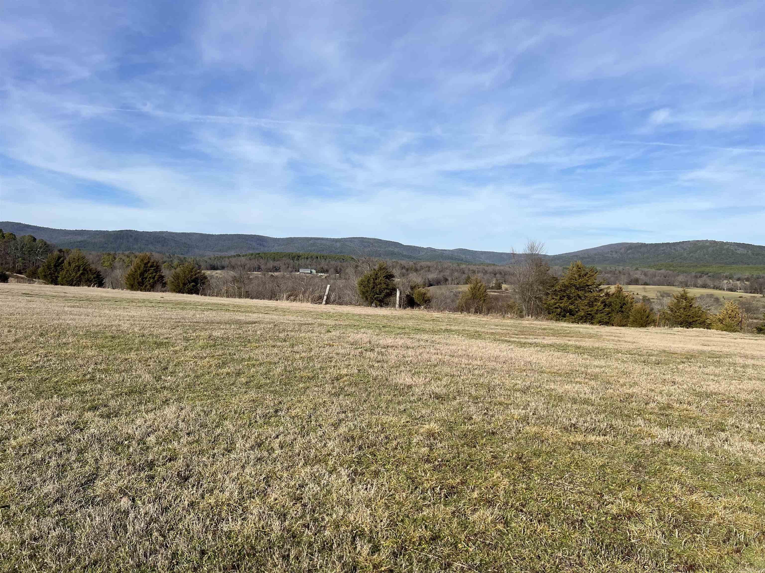 TBD. 62 acres Polk Road 85  Mena, AR