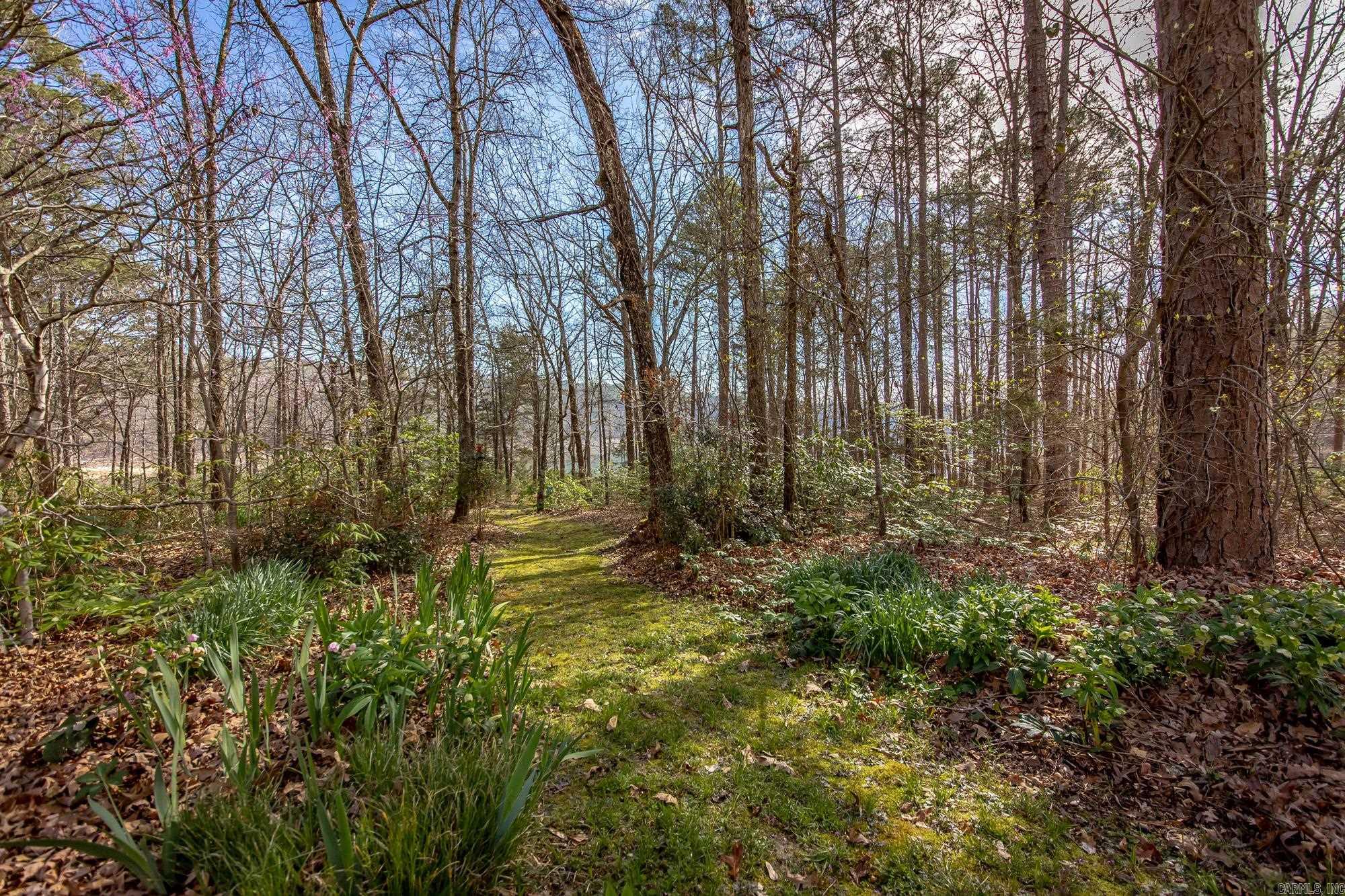 474 Valhalla  Edgemont, AR