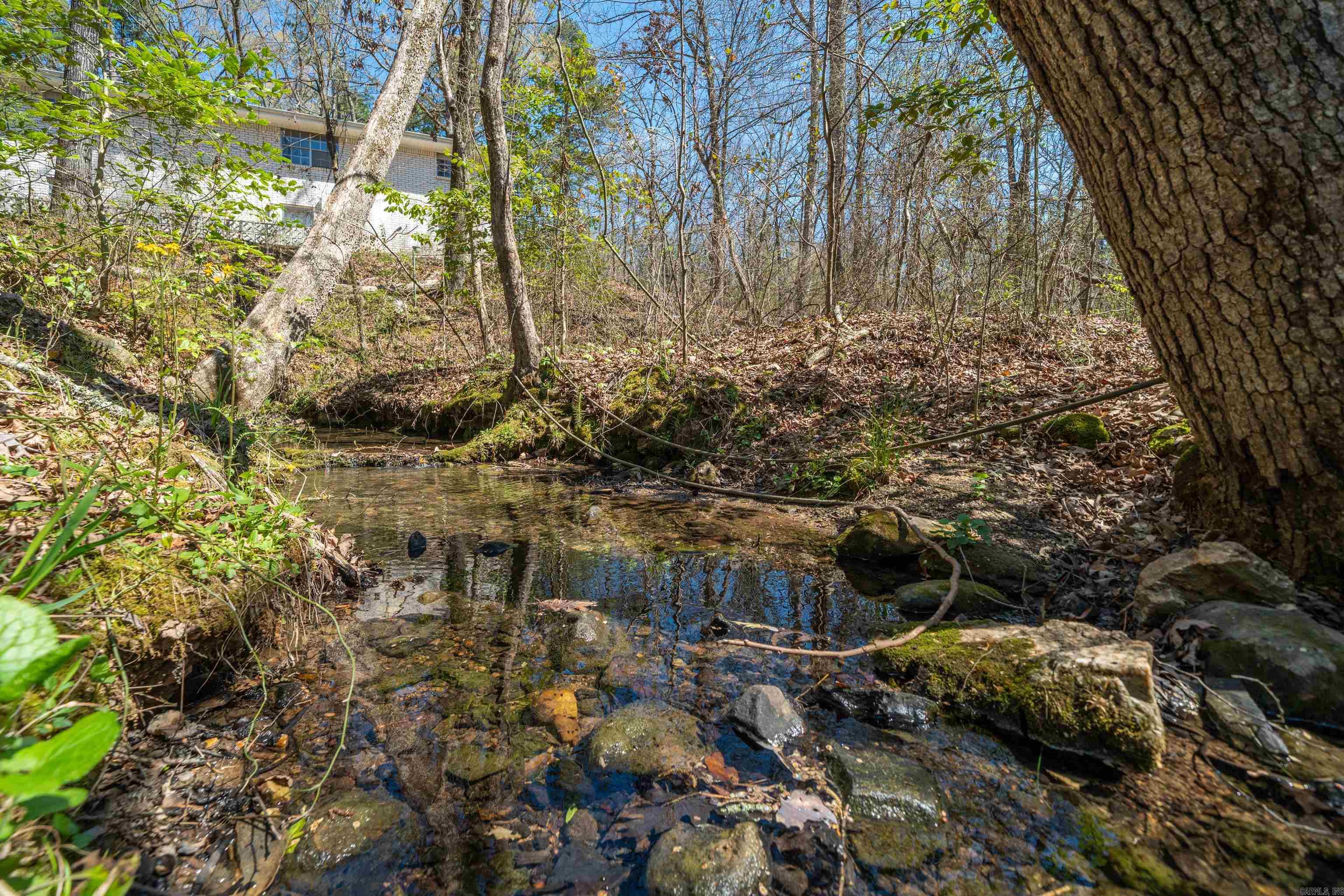 15 Autumn Hills  Mount Ida, AR