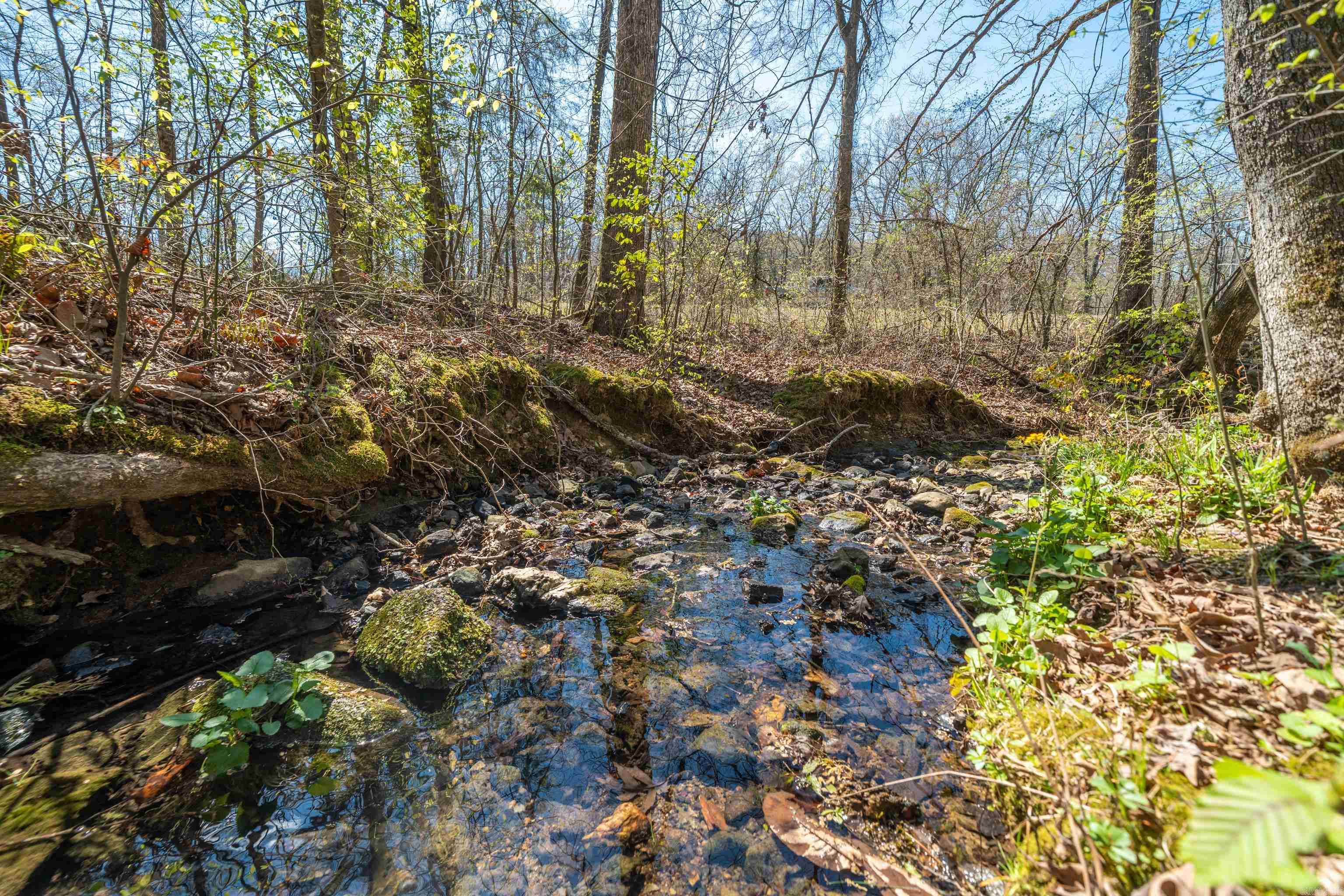 15 Autumn Hills  Mount Ida, AR