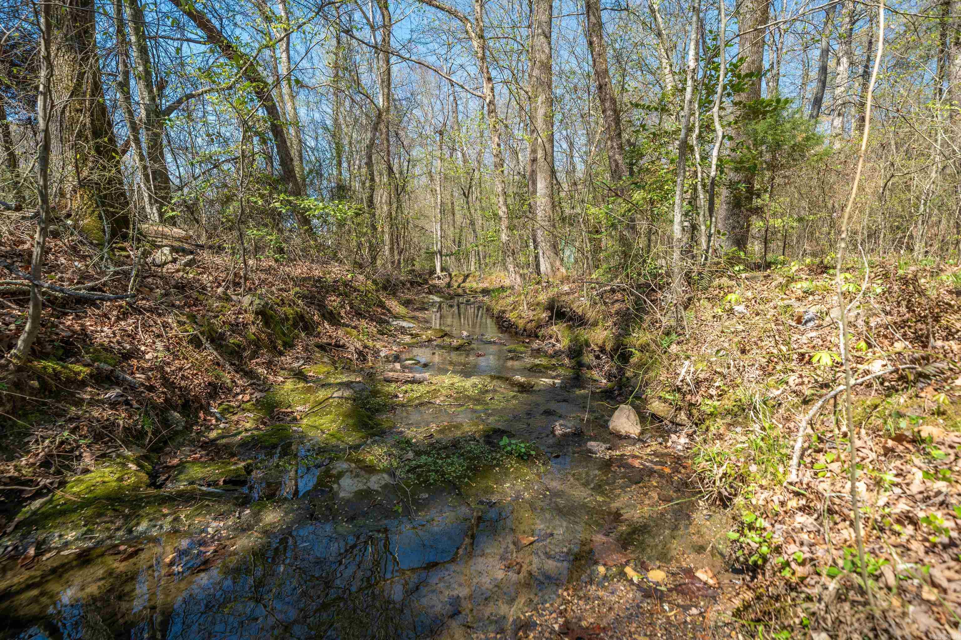 15 Autumn Hills  Mount Ida, AR