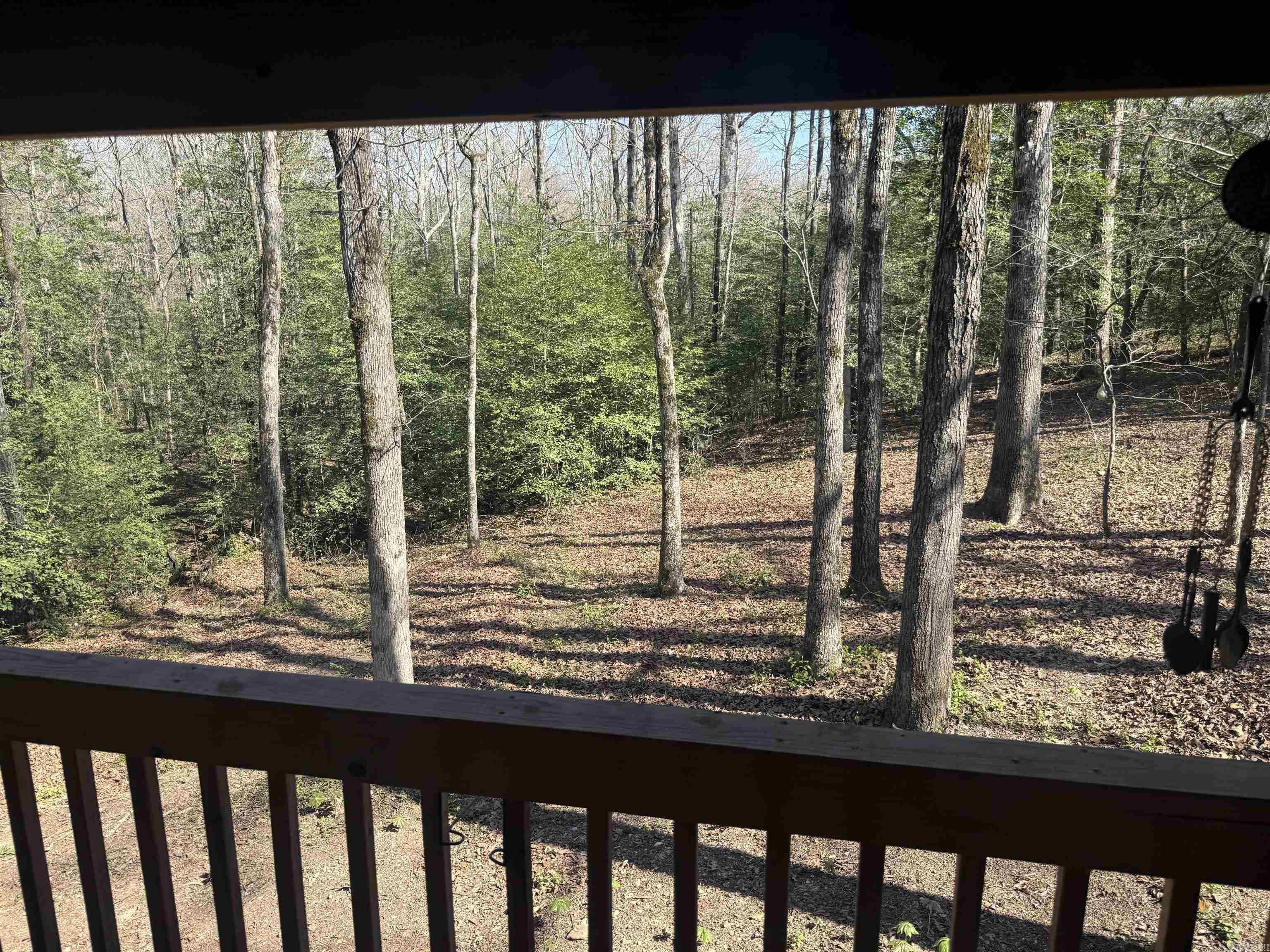 1198 N Evergreen  Bauxite, AR