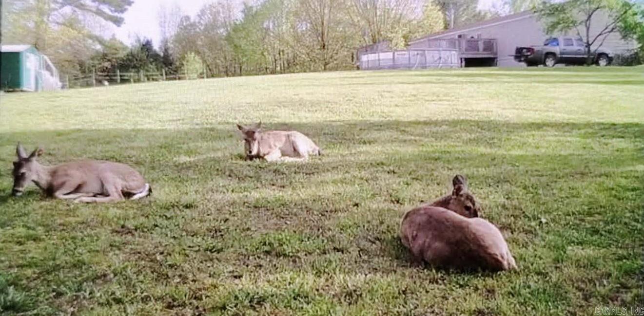 3475 Greene 731 Road Paragould, AR 72450