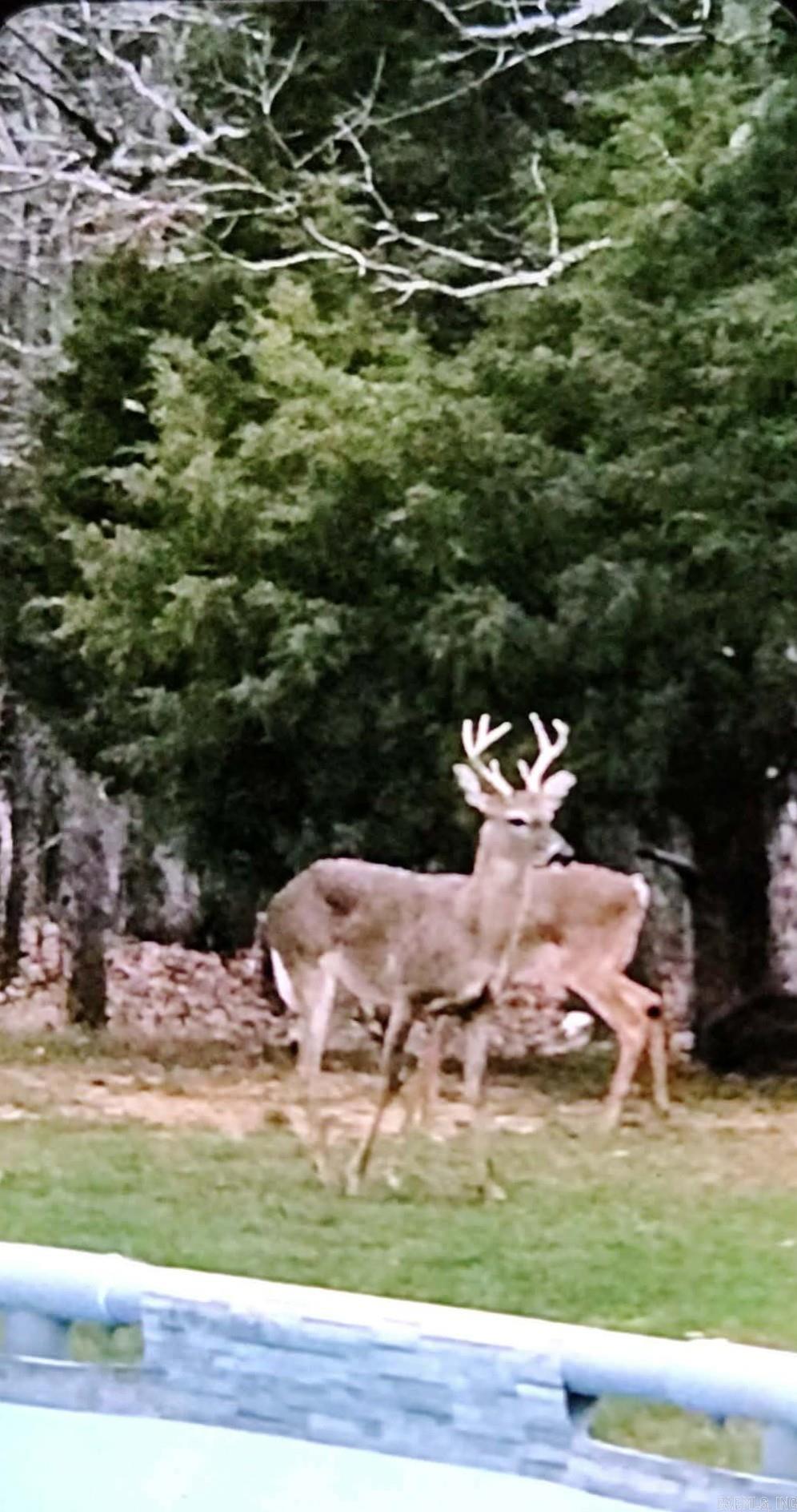 3475 Greene 731 Road Paragould, AR 72450