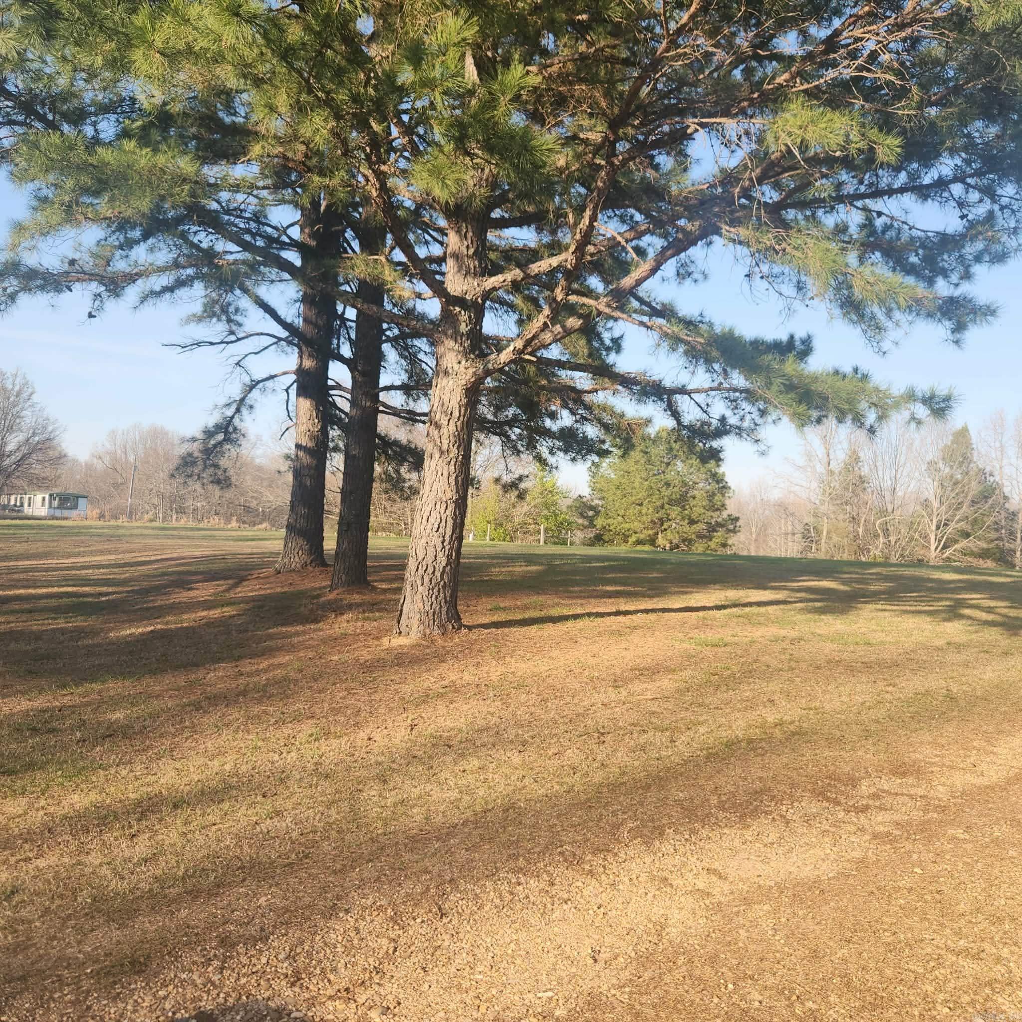 3475 Greene 731 Road Paragould, AR 72450