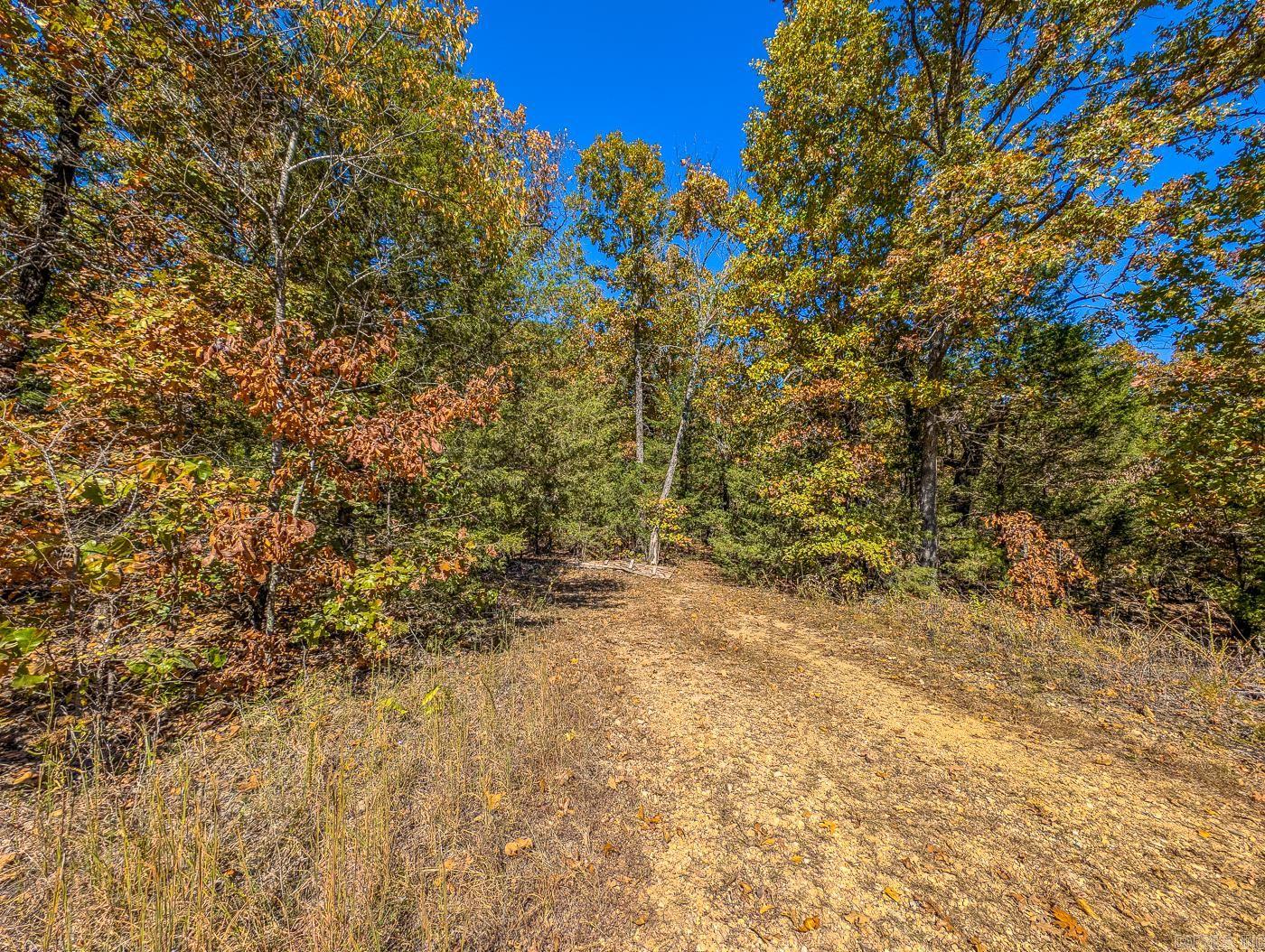 40 Acres MC #113  Oakland, AR