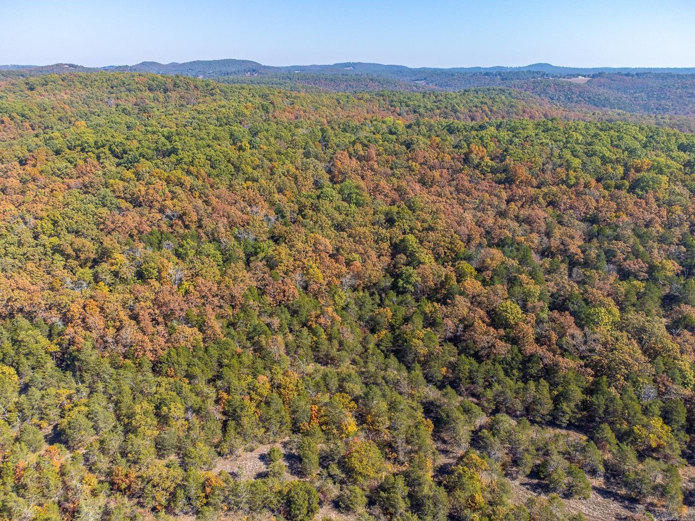 40 Acres MC #113  Oakland, AR