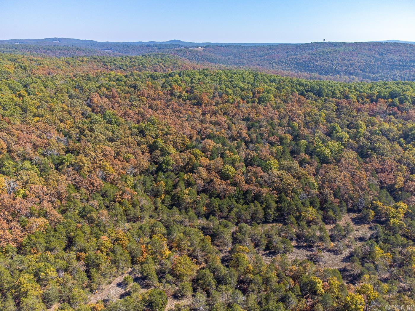 40 Acres MC #113  Oakland, AR