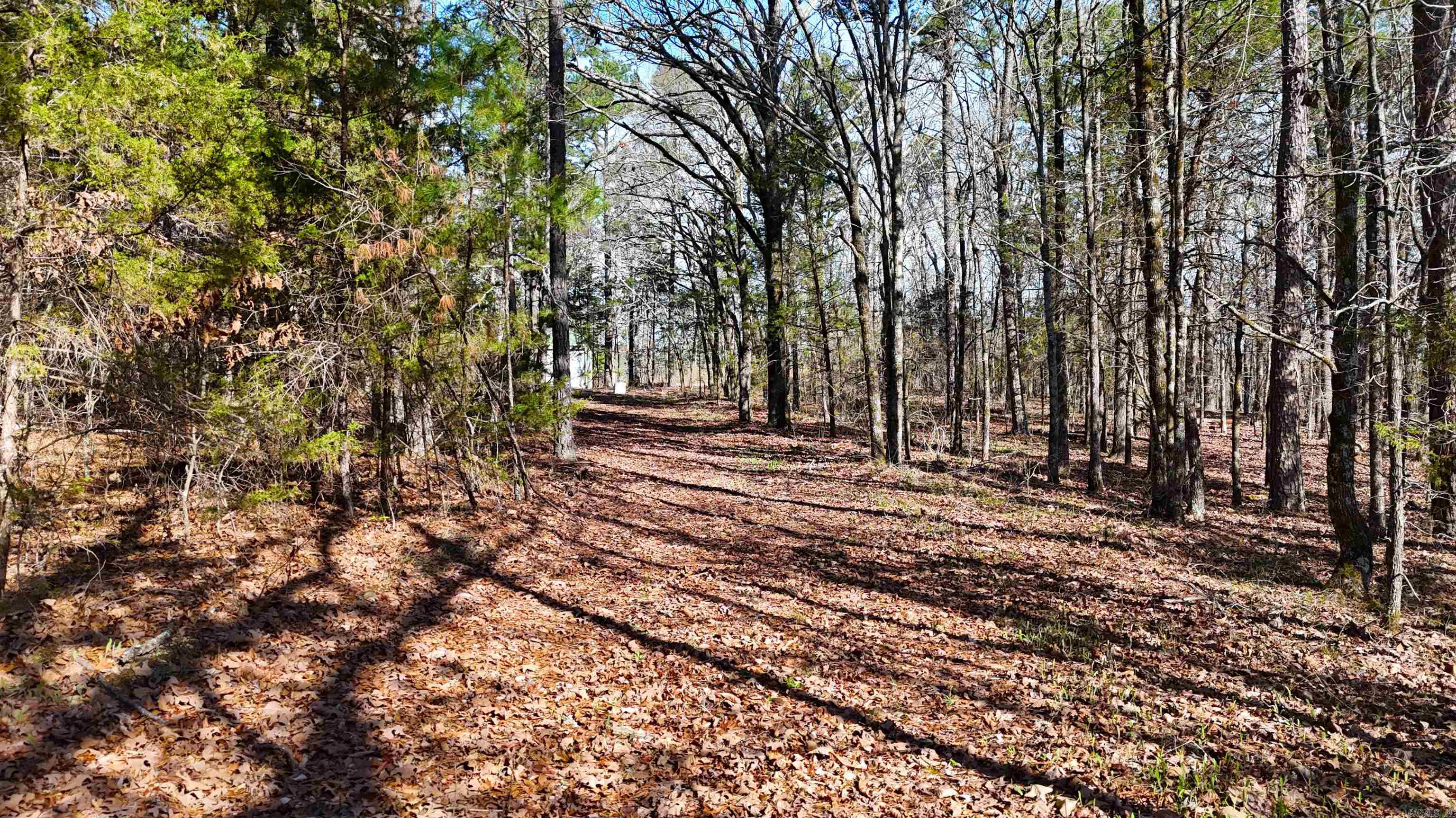 TBD Rolling Oaks  Mena, AR