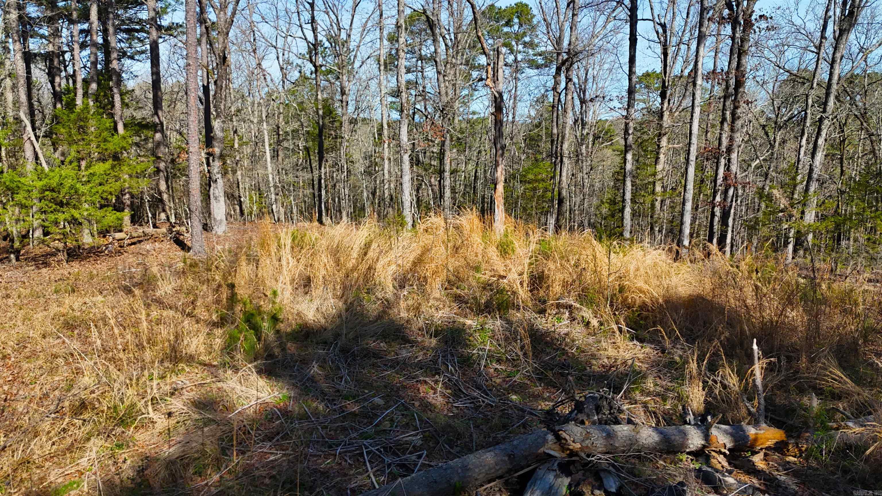 TBD Rolling Oaks  Mena, AR