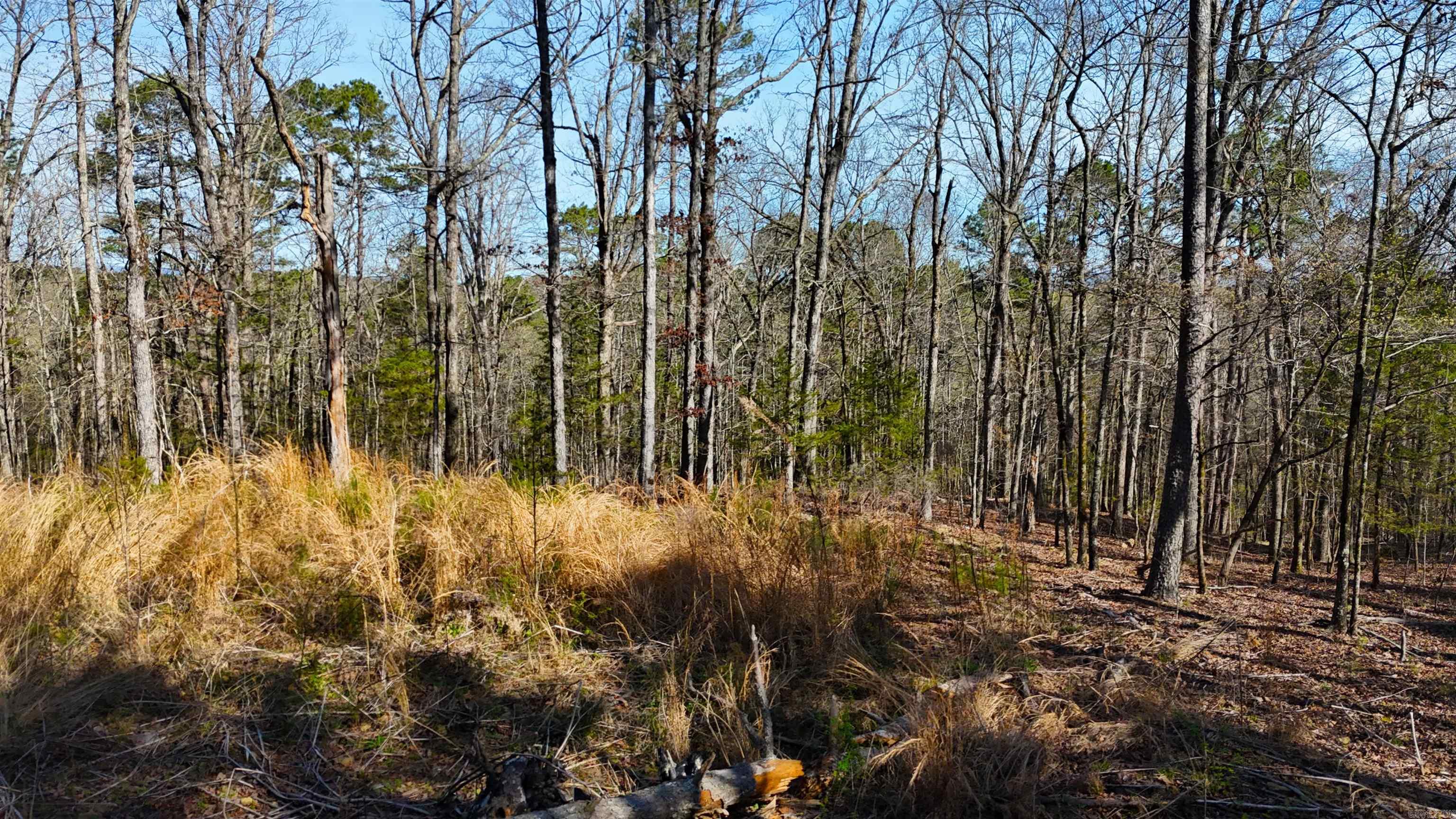 TBD Rolling Oaks  Mena, AR