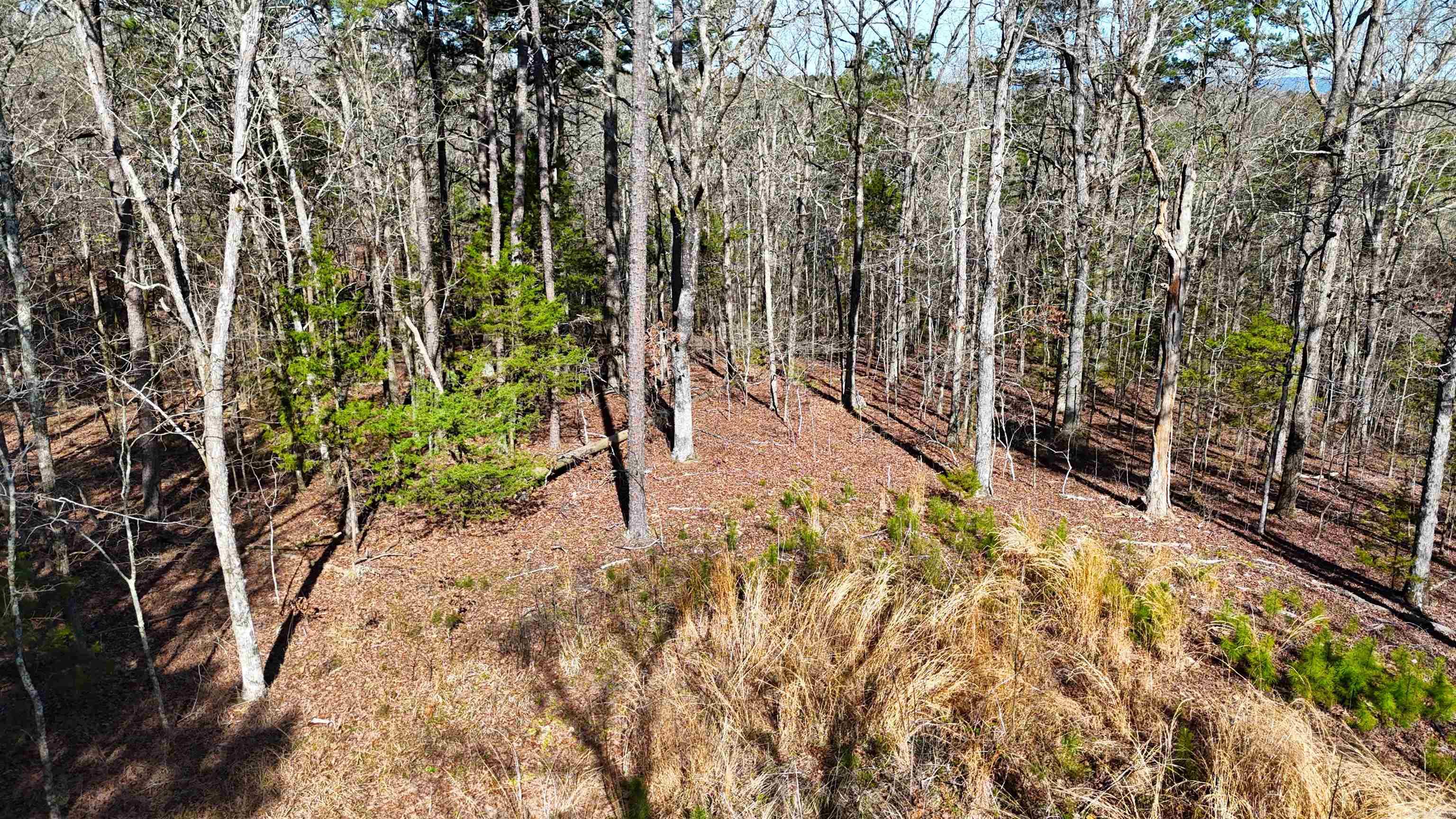 TBD Rolling Oaks  Mena, AR