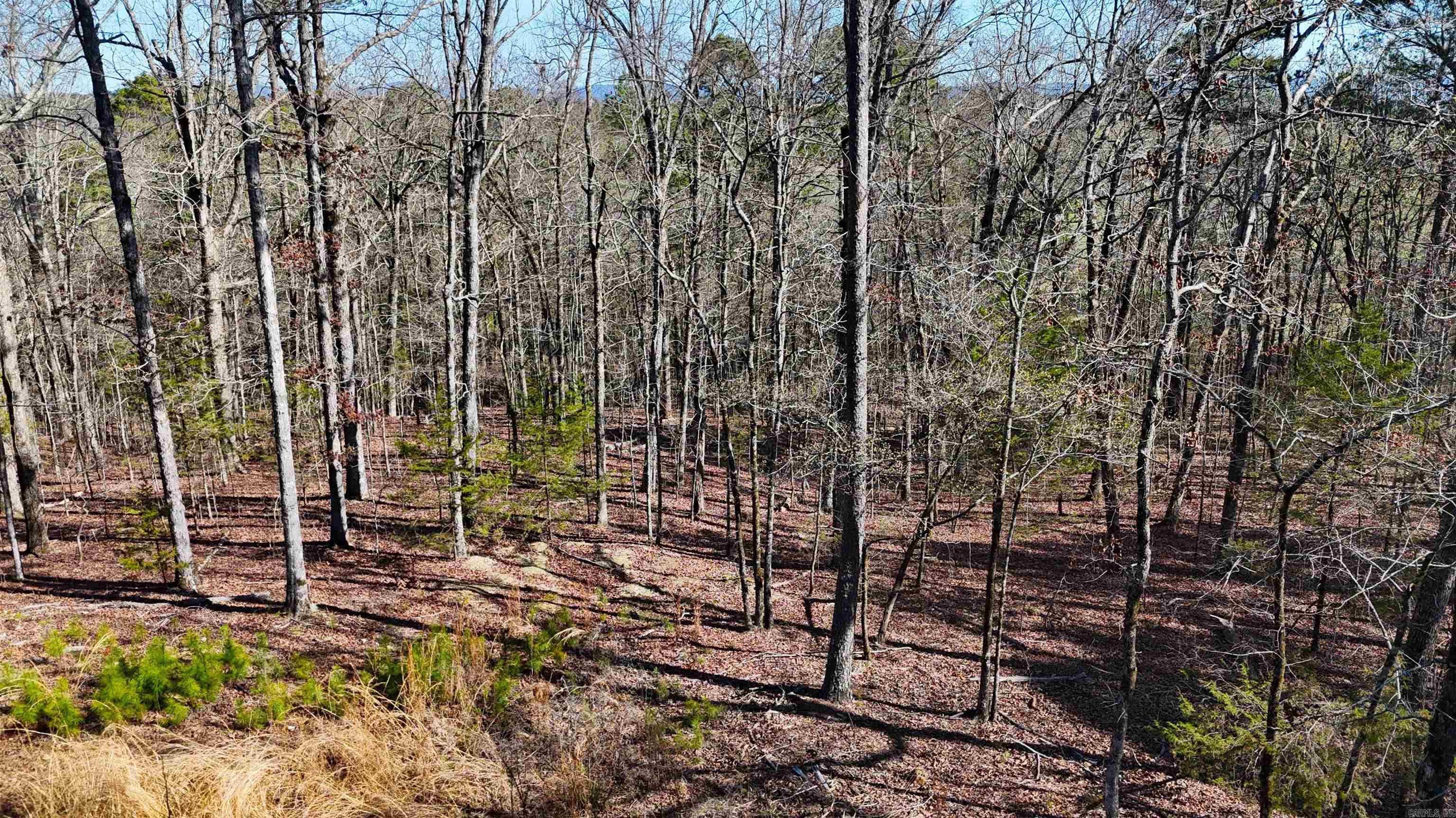 TBD Rolling Oaks  Mena, AR