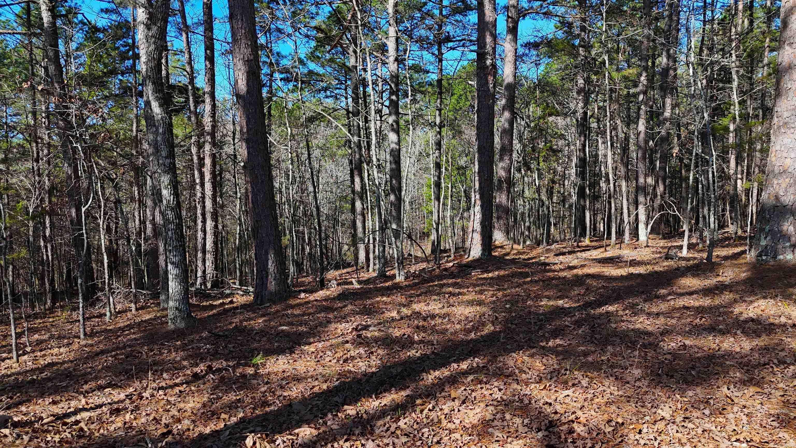 TBD Rolling Oaks  Mena, AR