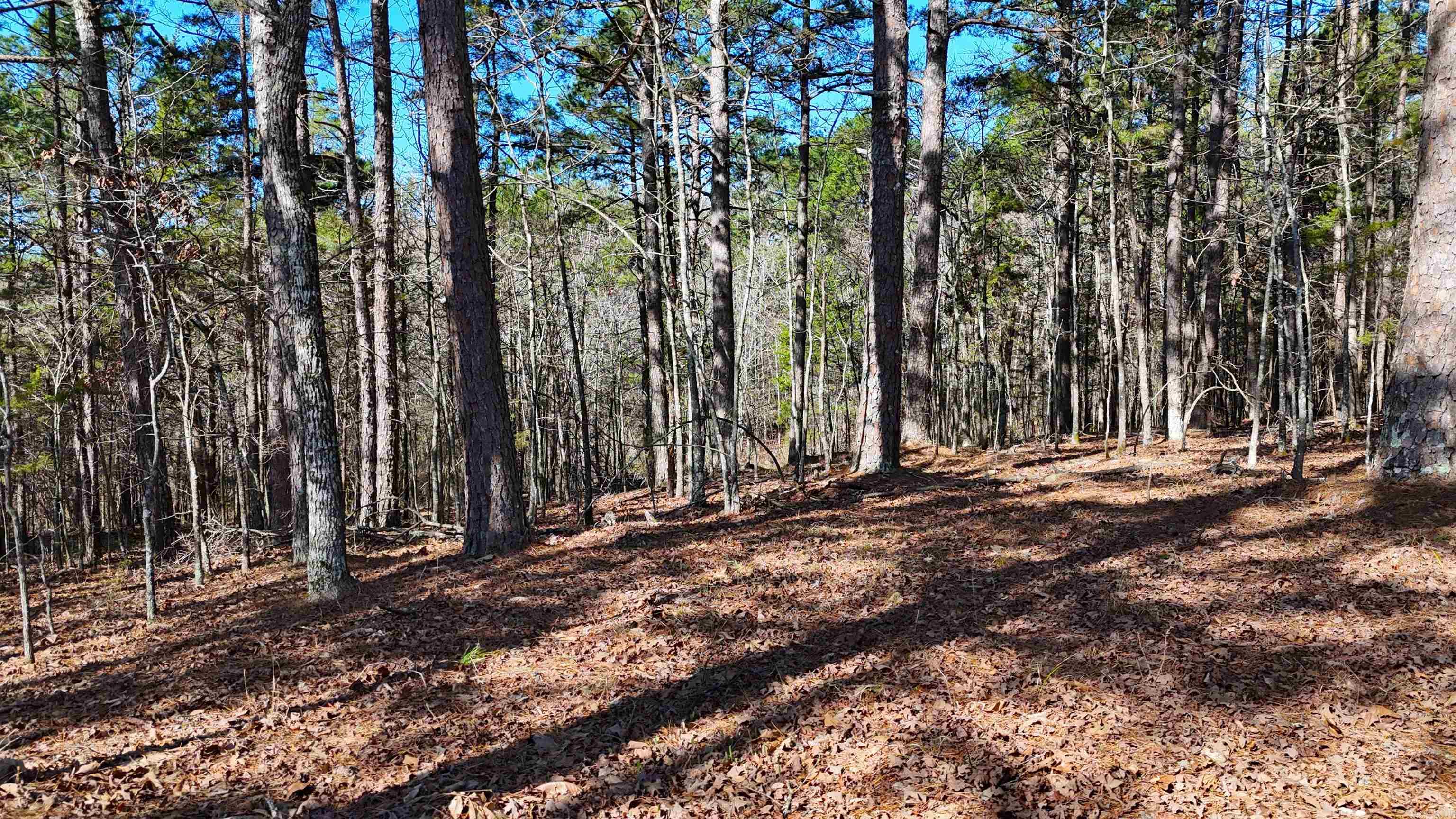 TBD Rolling Oaks  Mena, AR