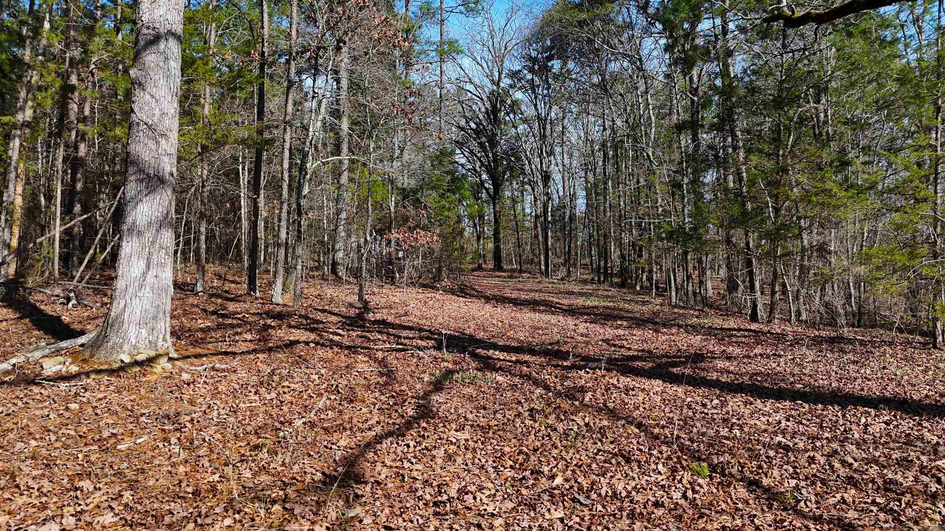 TBD Rolling Oaks  Mena, AR