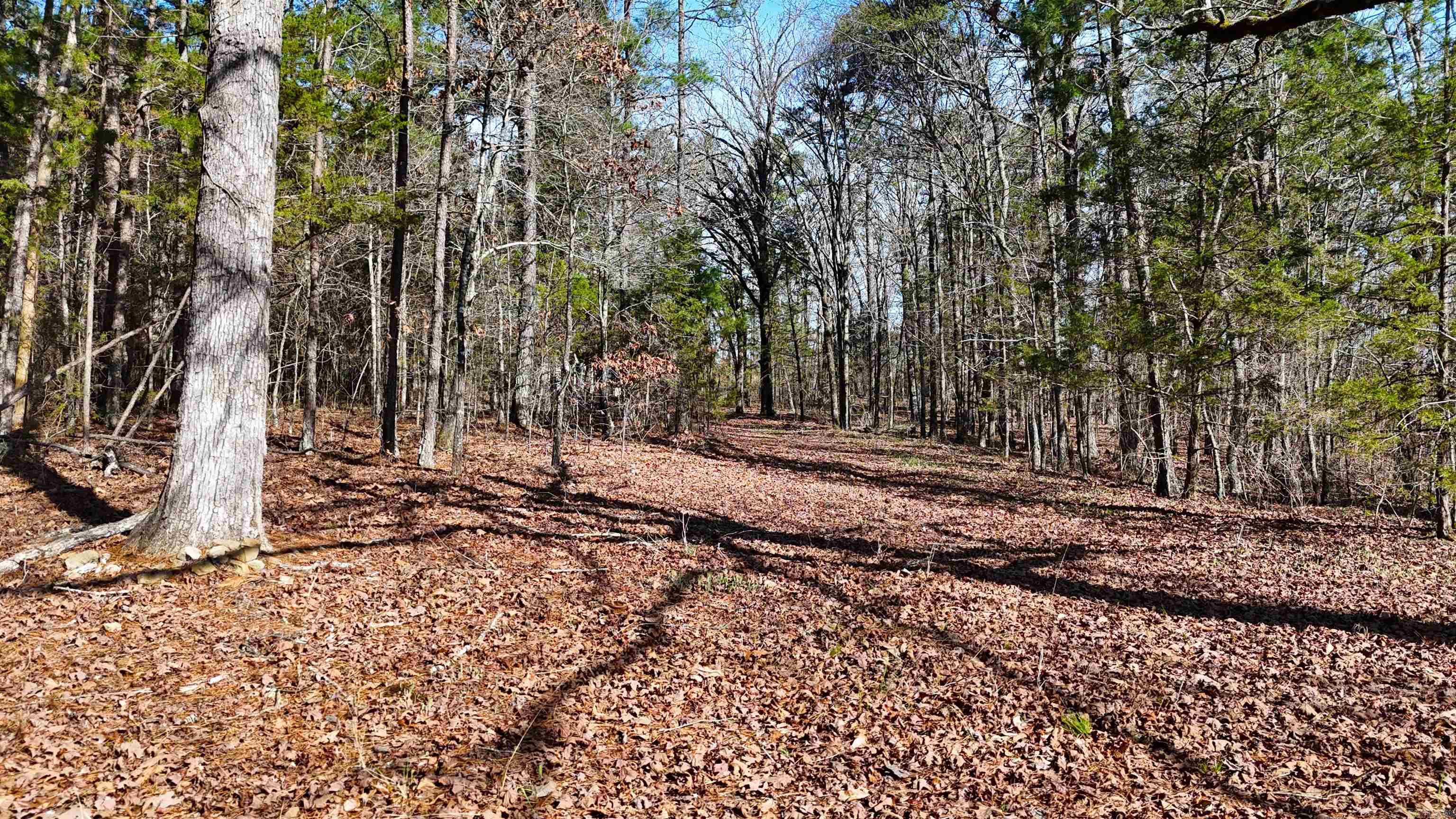 TBD Rolling Oaks  Mena, AR