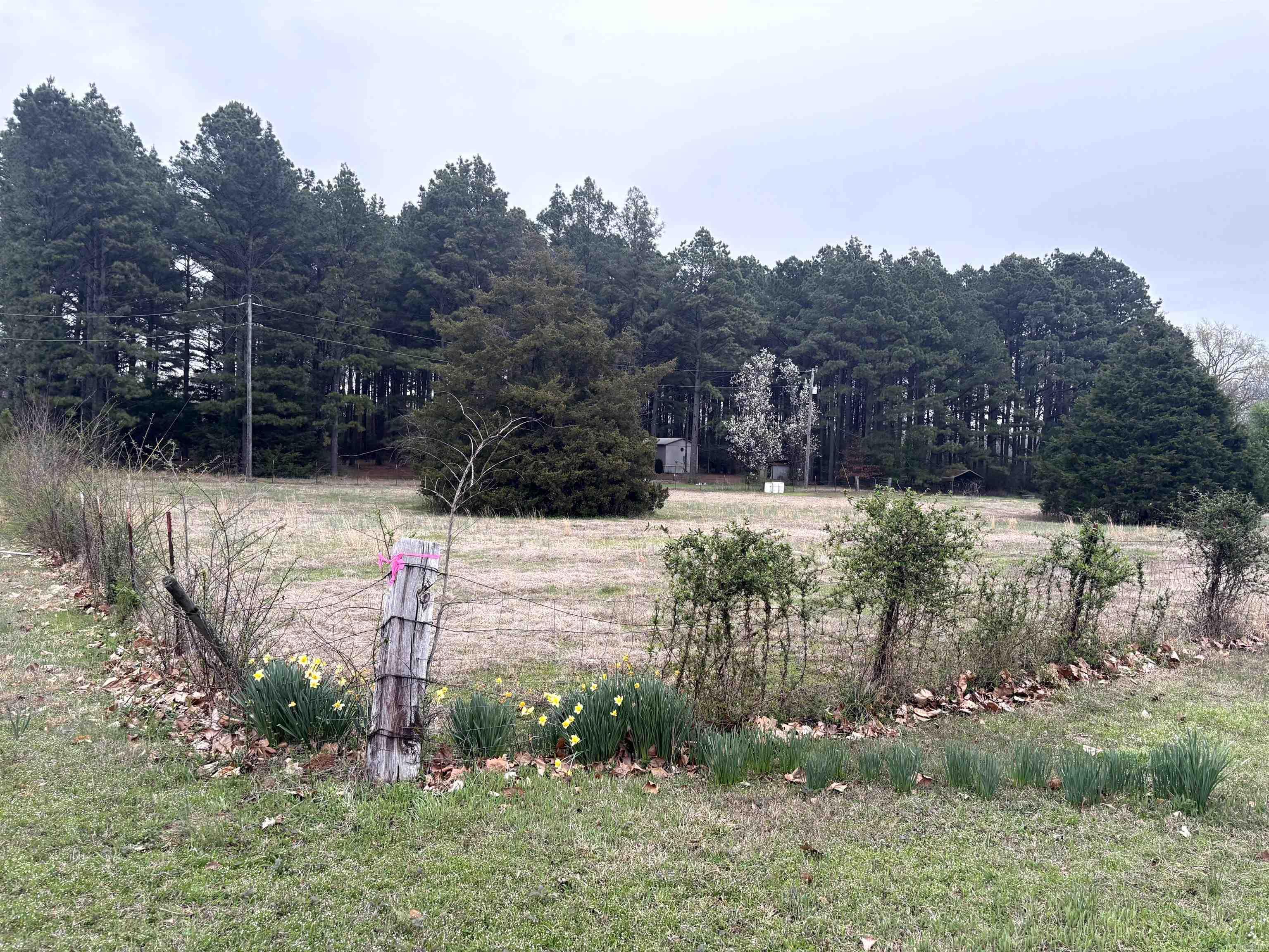 6965 Ar Hwy 13 N  Carlisle, AR