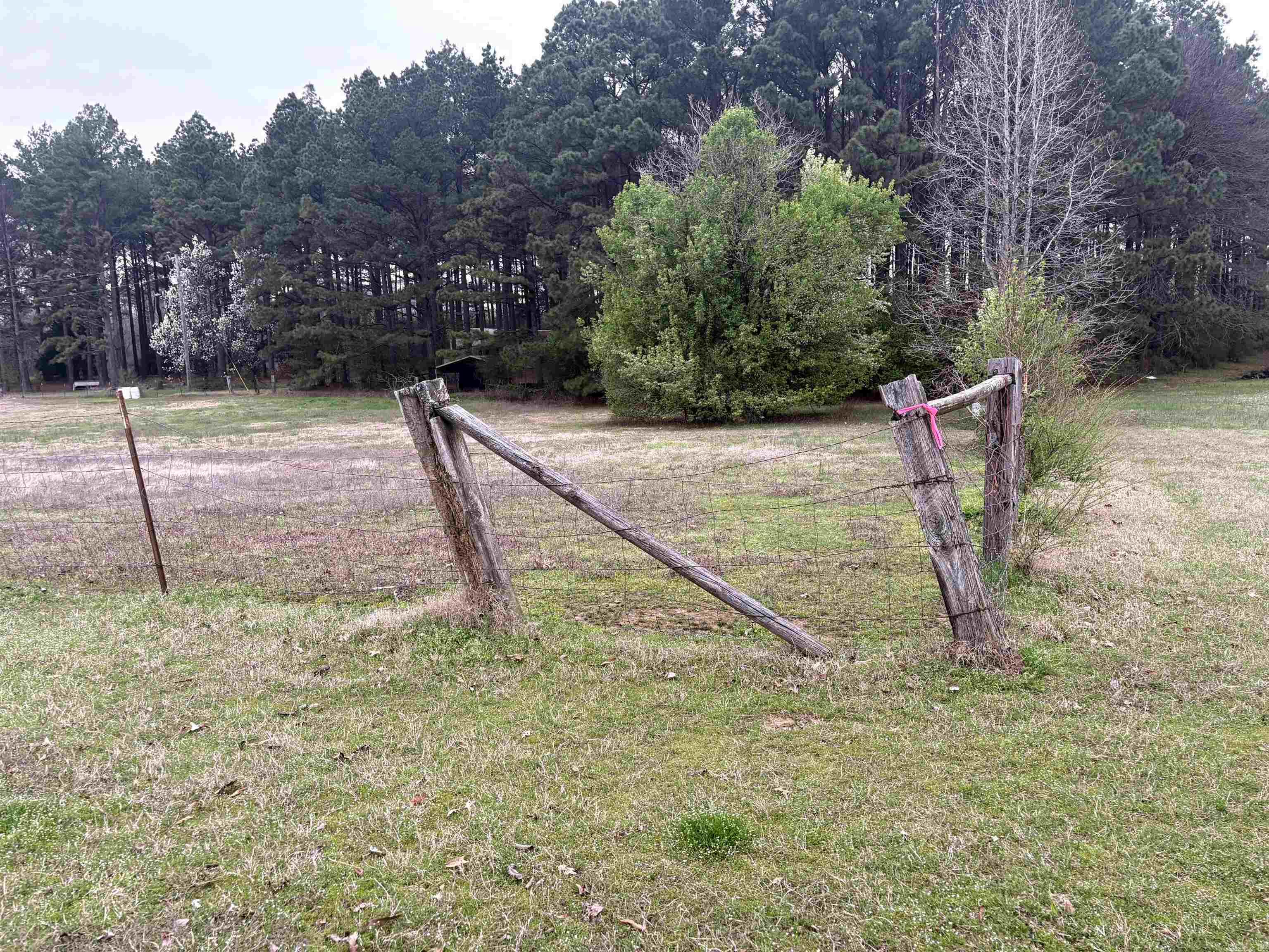 6965 Ar Hwy 13 N  Carlisle, AR