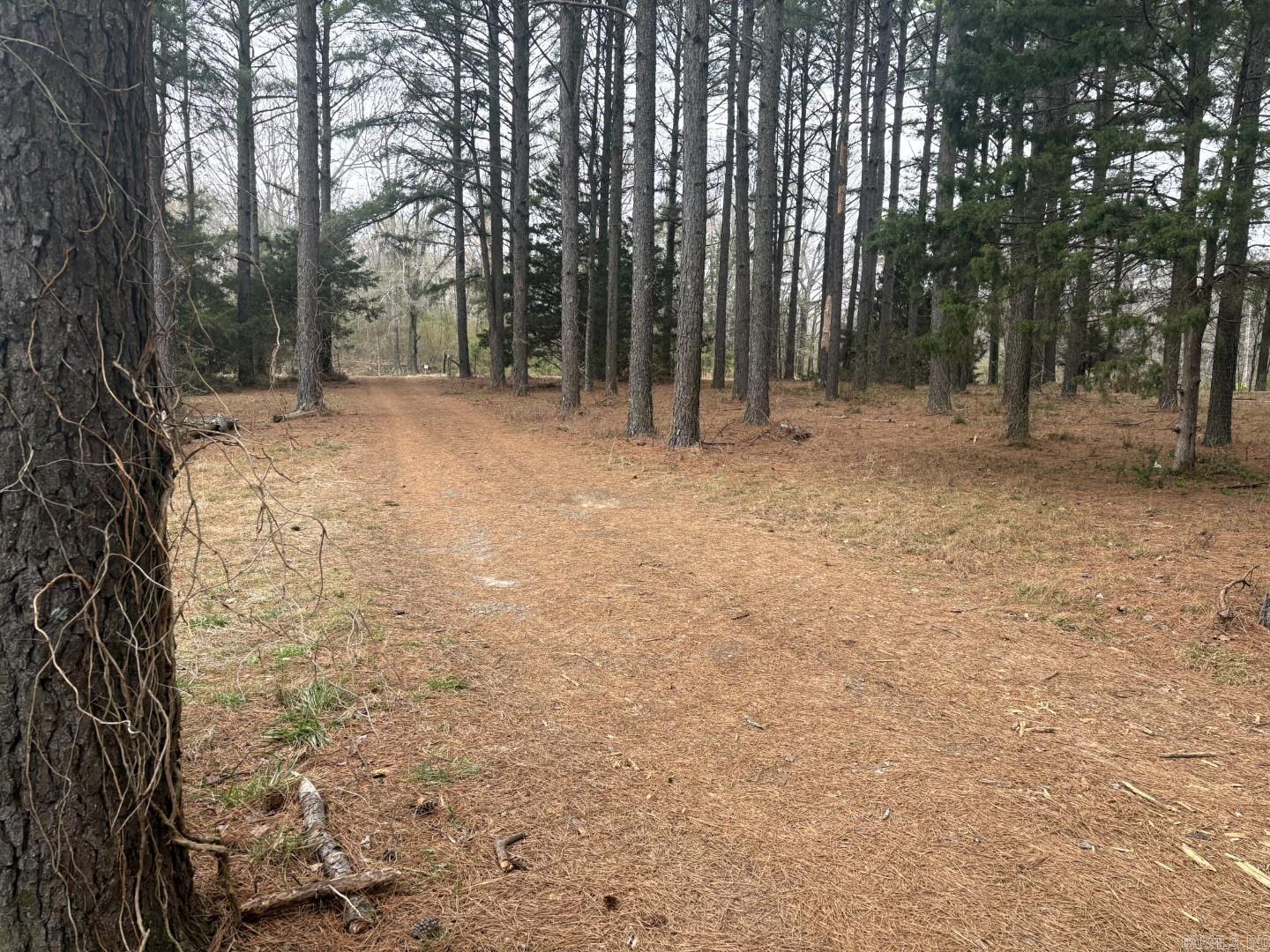 6965 Ar Hwy 13 N  Carlisle, AR