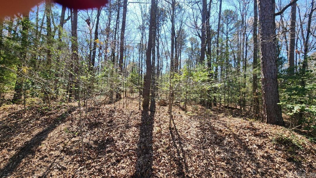 000 Zarpa Way  Hot Springs Village, AR