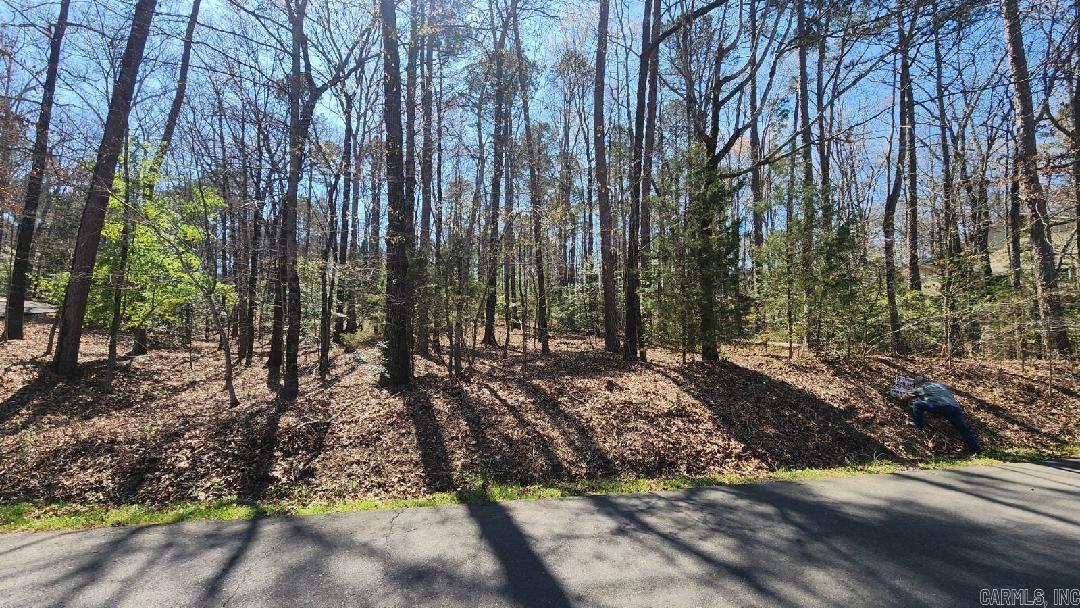 000 Zarpa Way  Hot Springs Village, AR