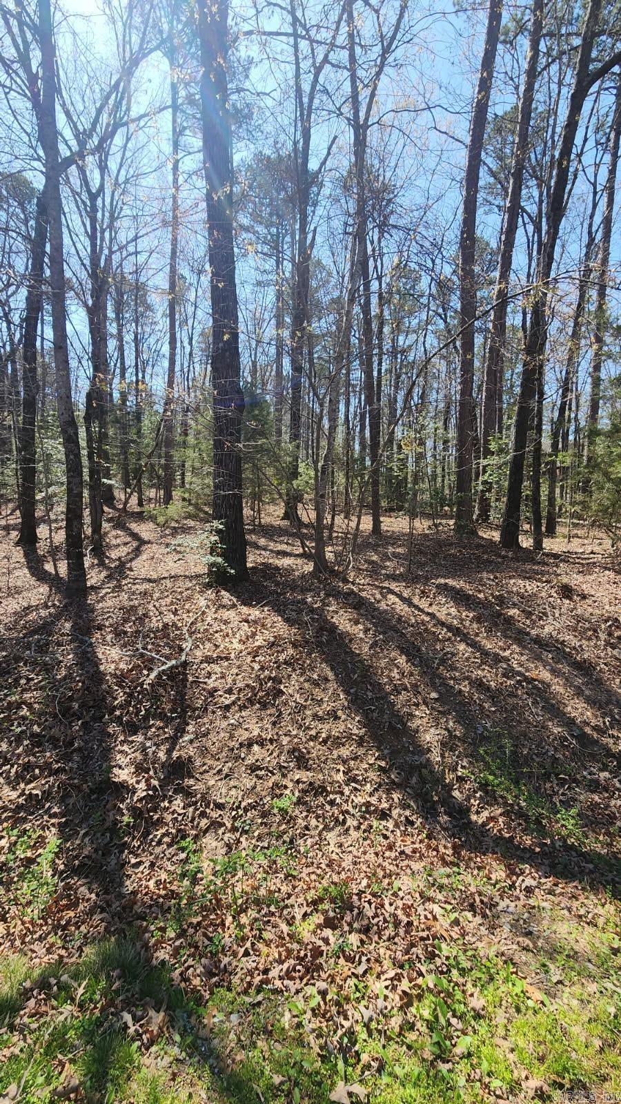 000 Zarpa Way  Hot Springs Village, AR