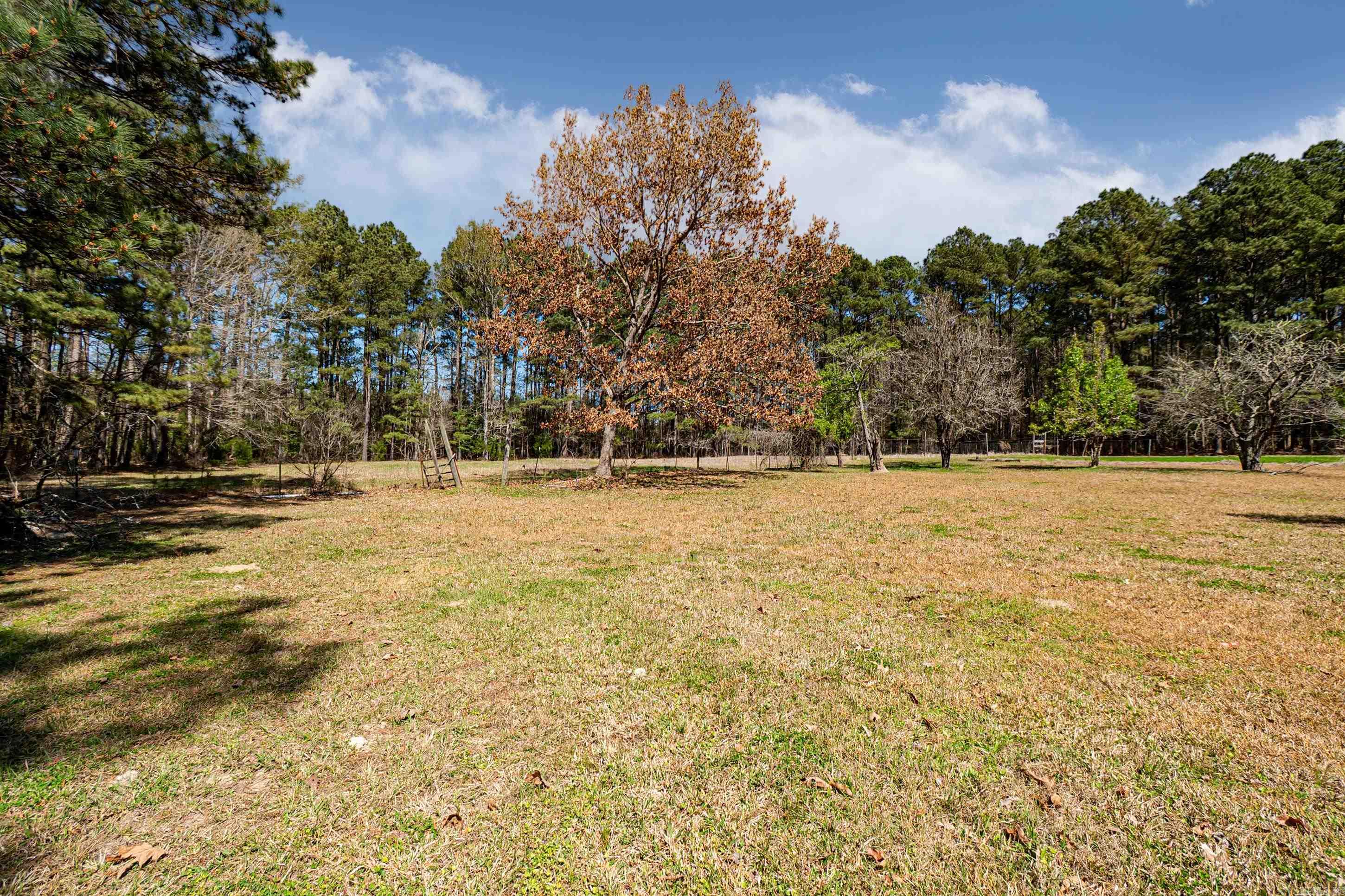 231 Sims Langley Trl  Junction City, AR