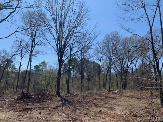 Tract 1 11395 Hwy 84  Bismarck, AR