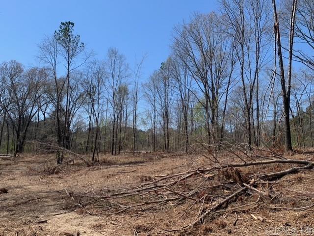 Tract 1 11395 Hwy 84  Bismarck, AR