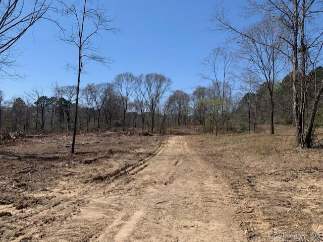 Tract 1 11395 Hwy 84  Bismarck, AR