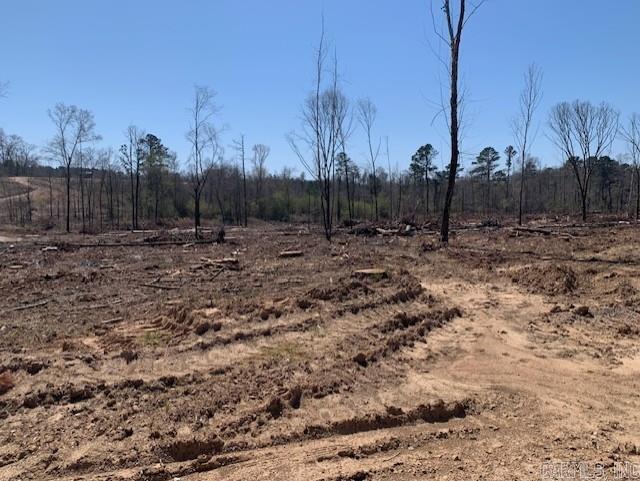 Tract 1 11395 Hwy 84  Bismarck, AR