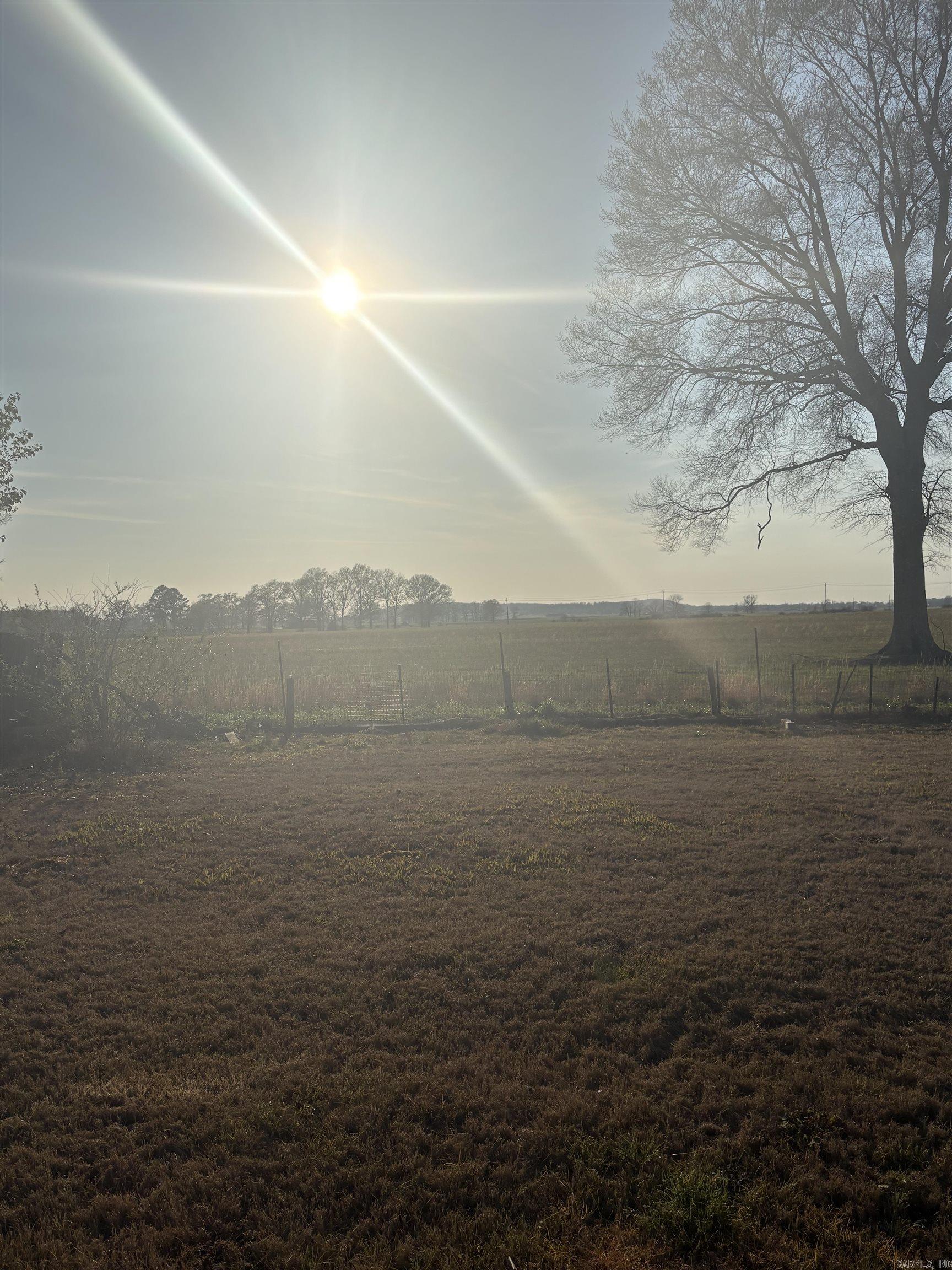 26 Blair  Vilonia, AR