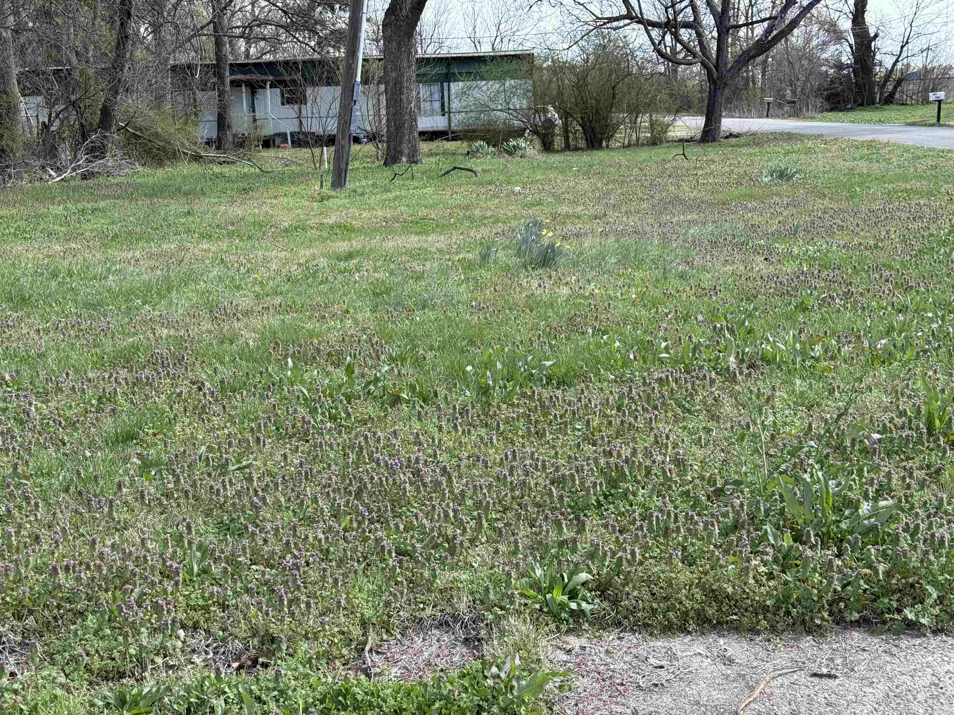 000 N 1 ST  Marmaduke, AR