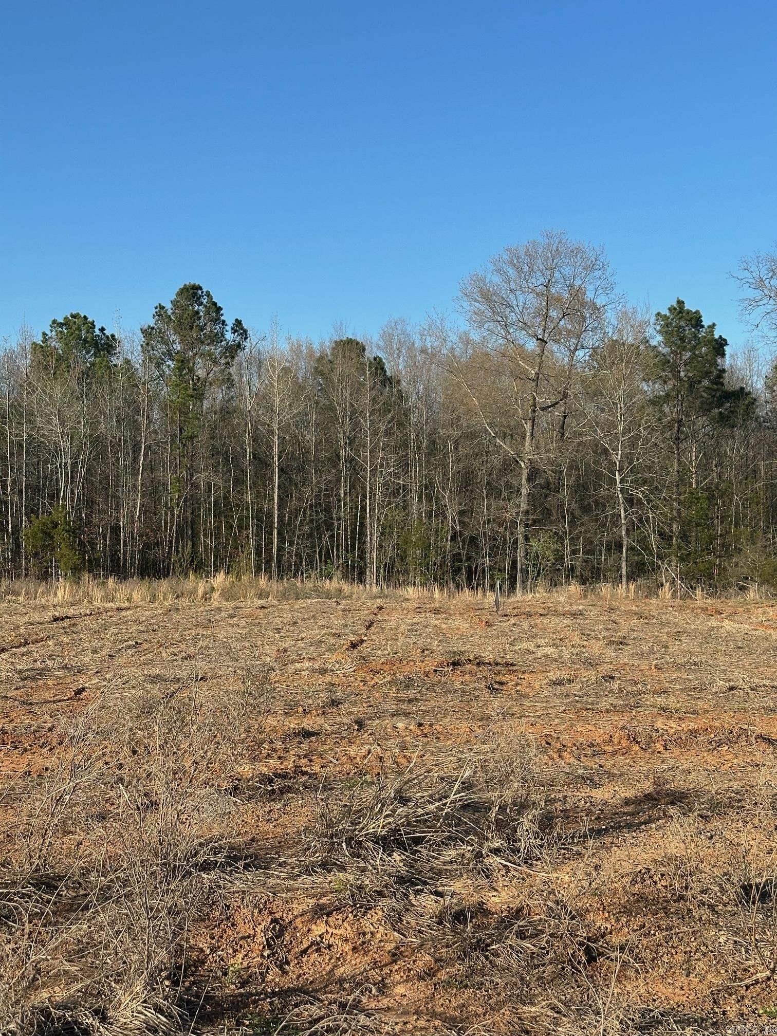 411 Corondelet  Maumelle, AR