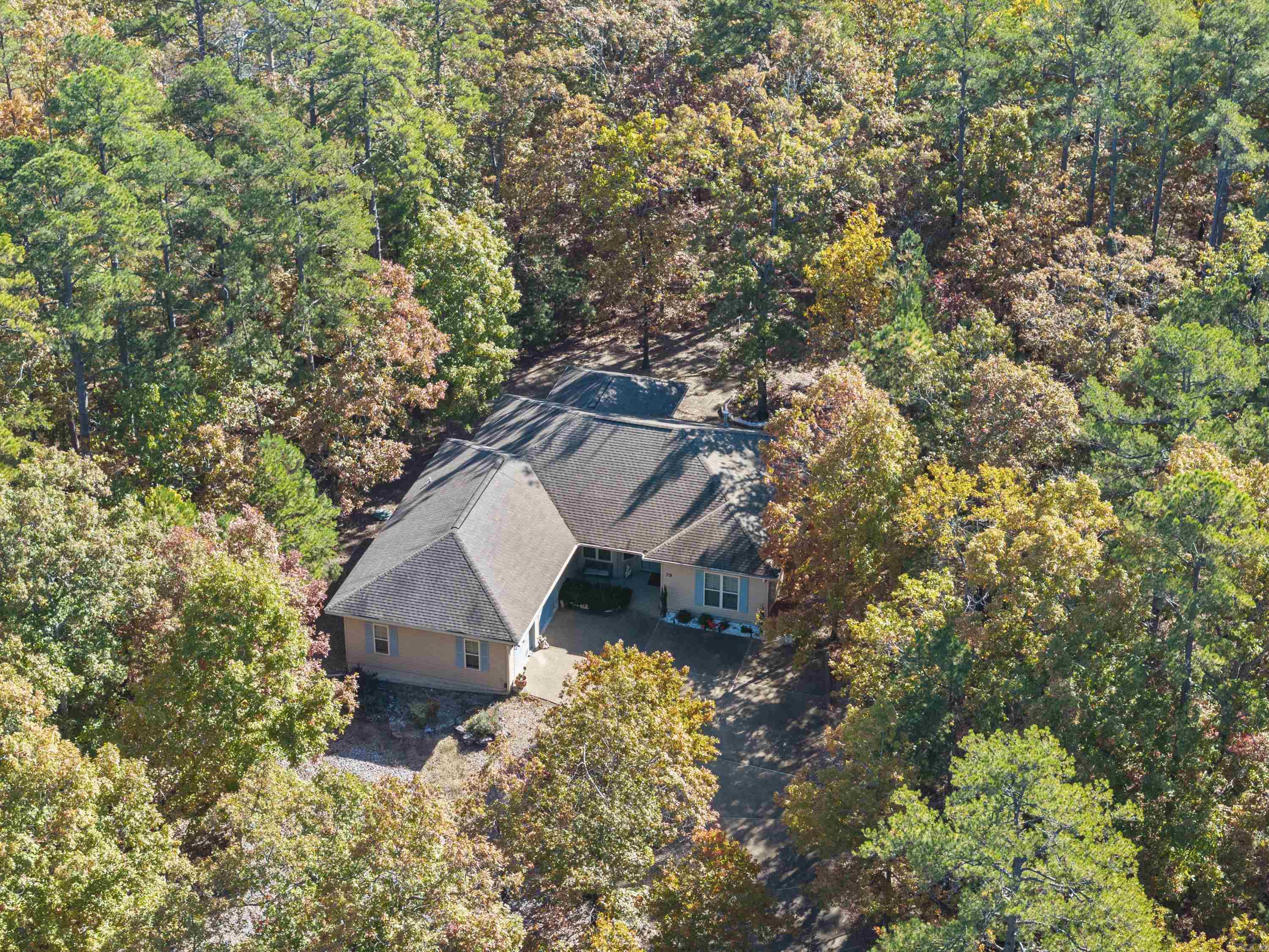 79 Bargus lane  Hot Springs Village, AR