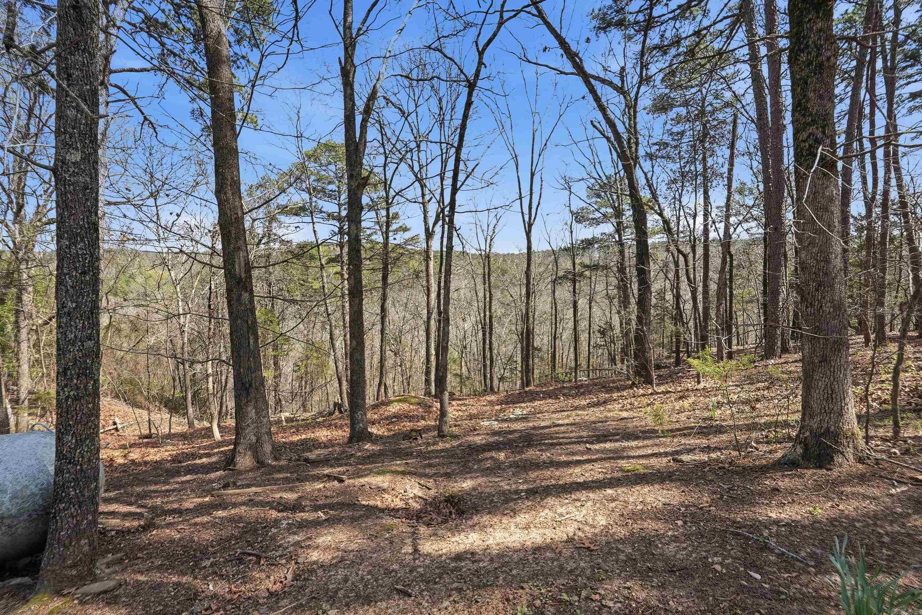 240 Pine Knot  Fairfield Bay, AR