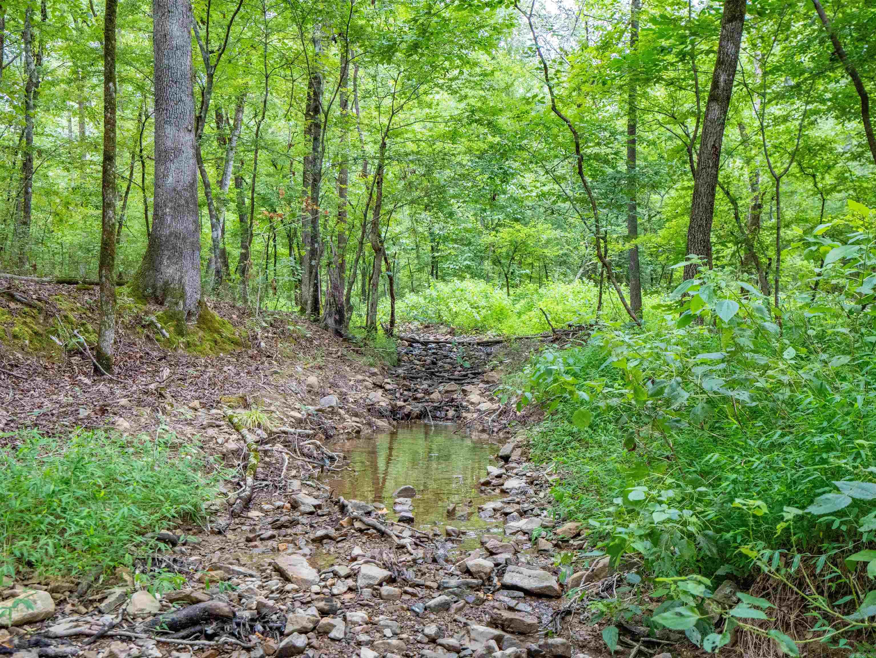 1 Camino  Hot Springs Village, AR