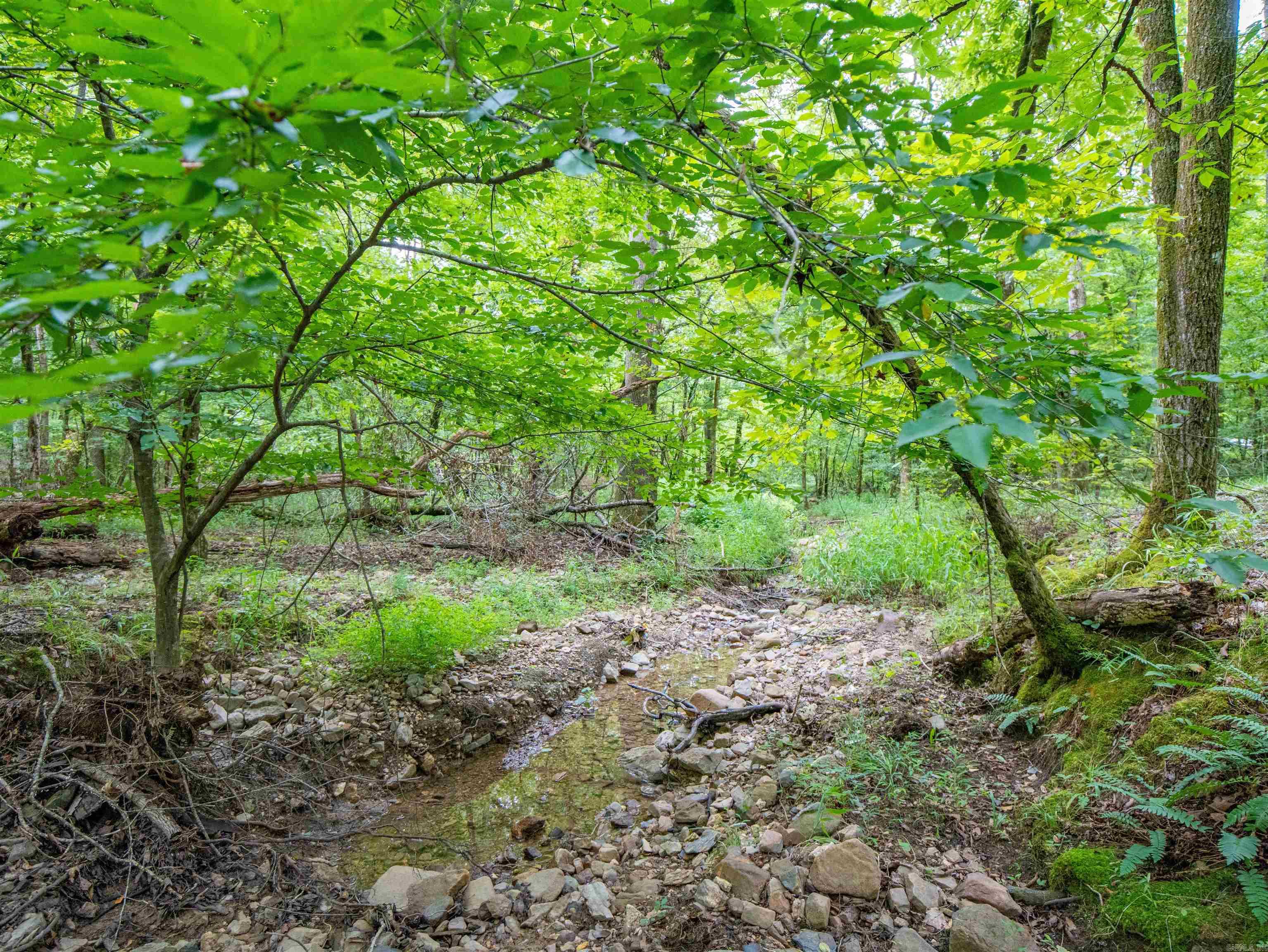 1 Camino  Hot Springs Village, AR