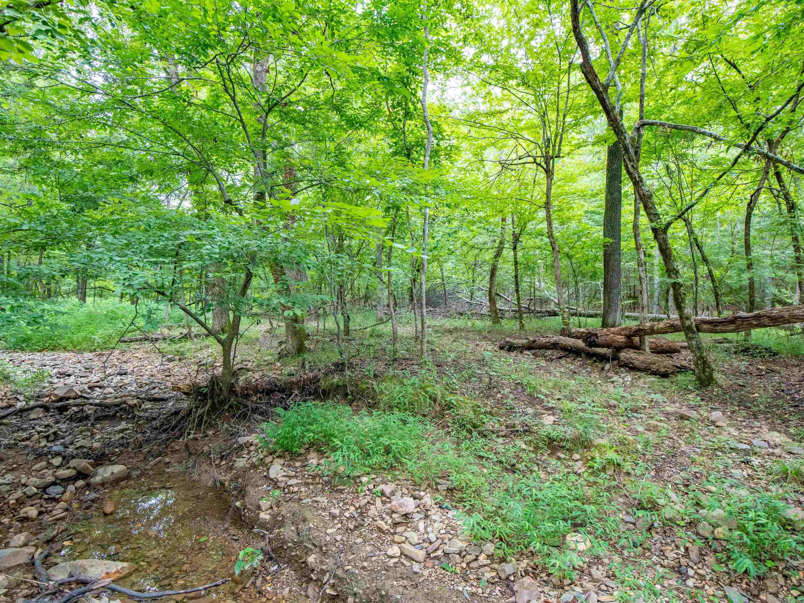 1 Camino  Hot Springs Village, AR