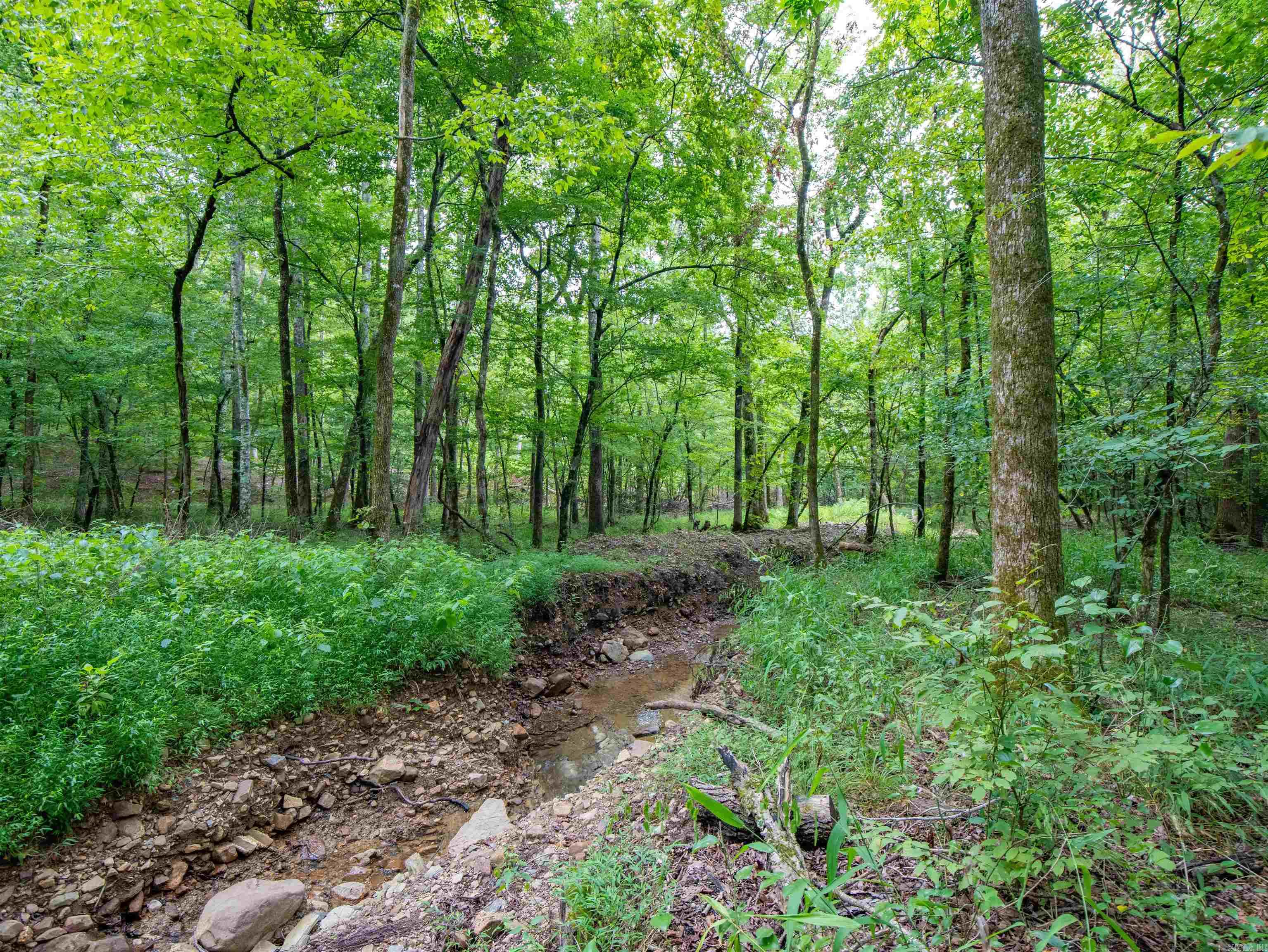 1 Camino  Hot Springs Village, AR