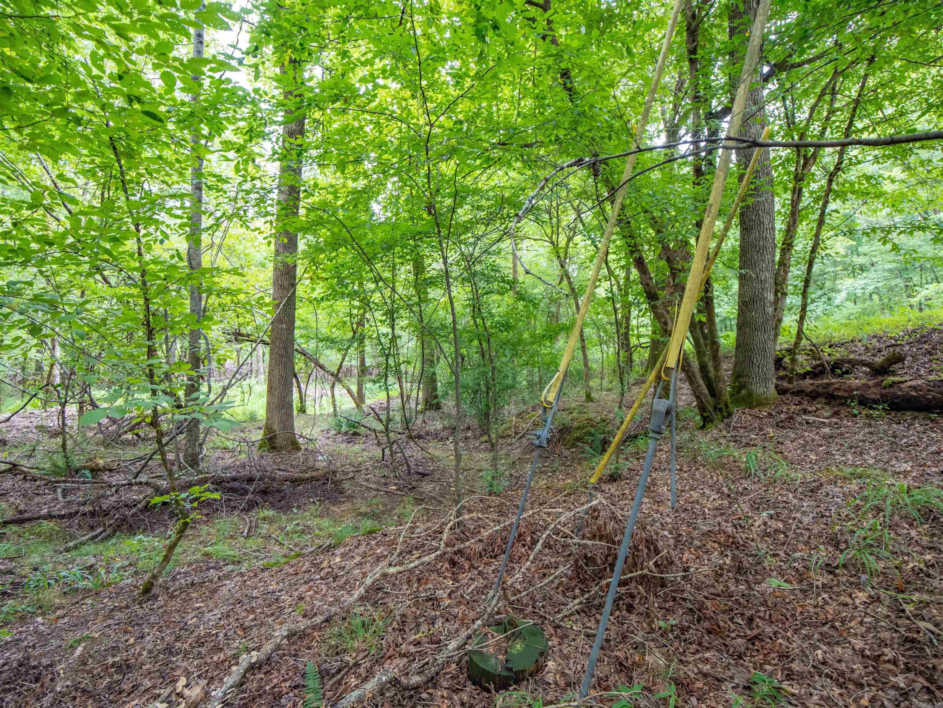 1 Camino  Hot Springs Village, AR