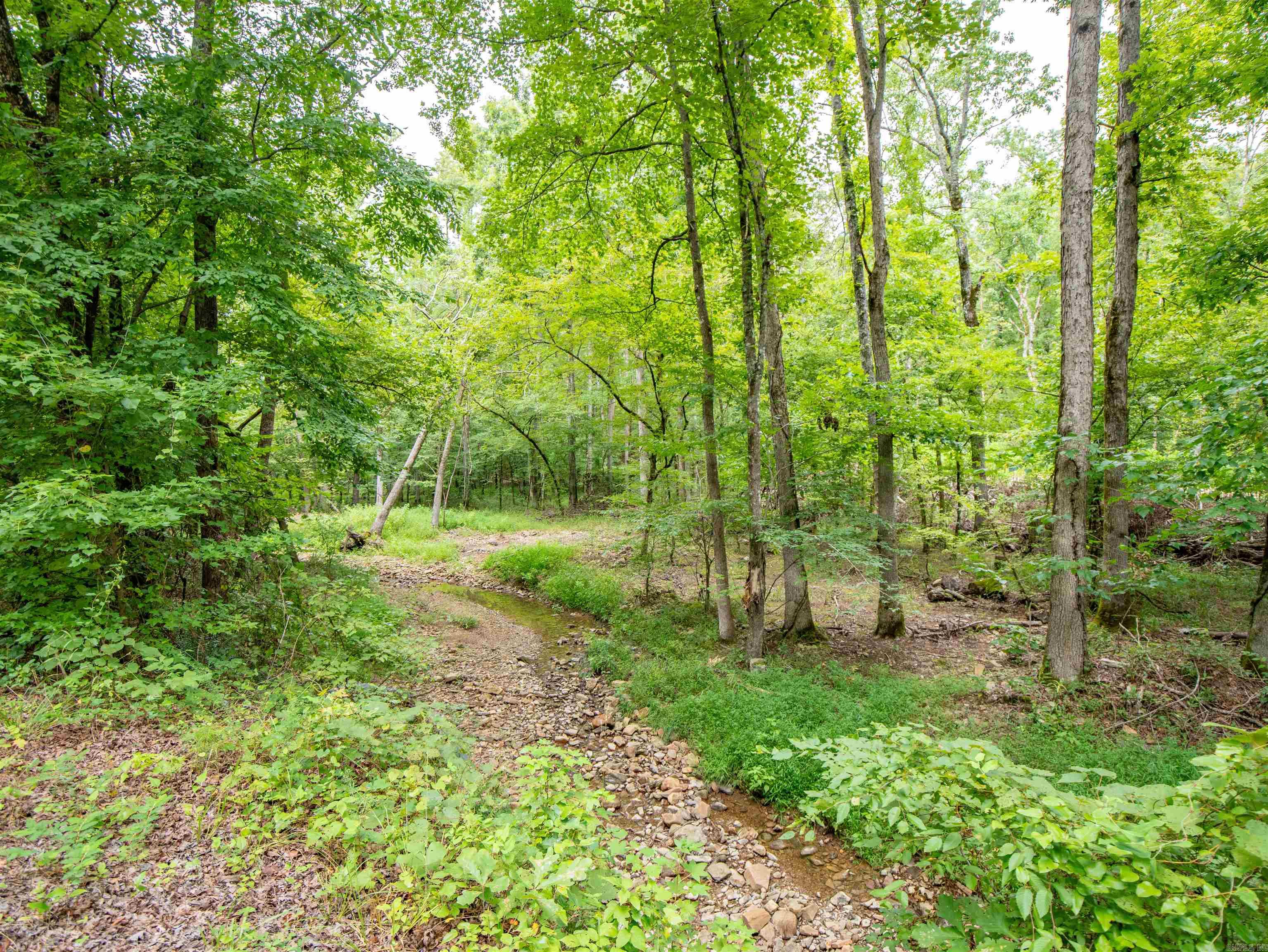 1 Camino  Hot Springs Village, AR