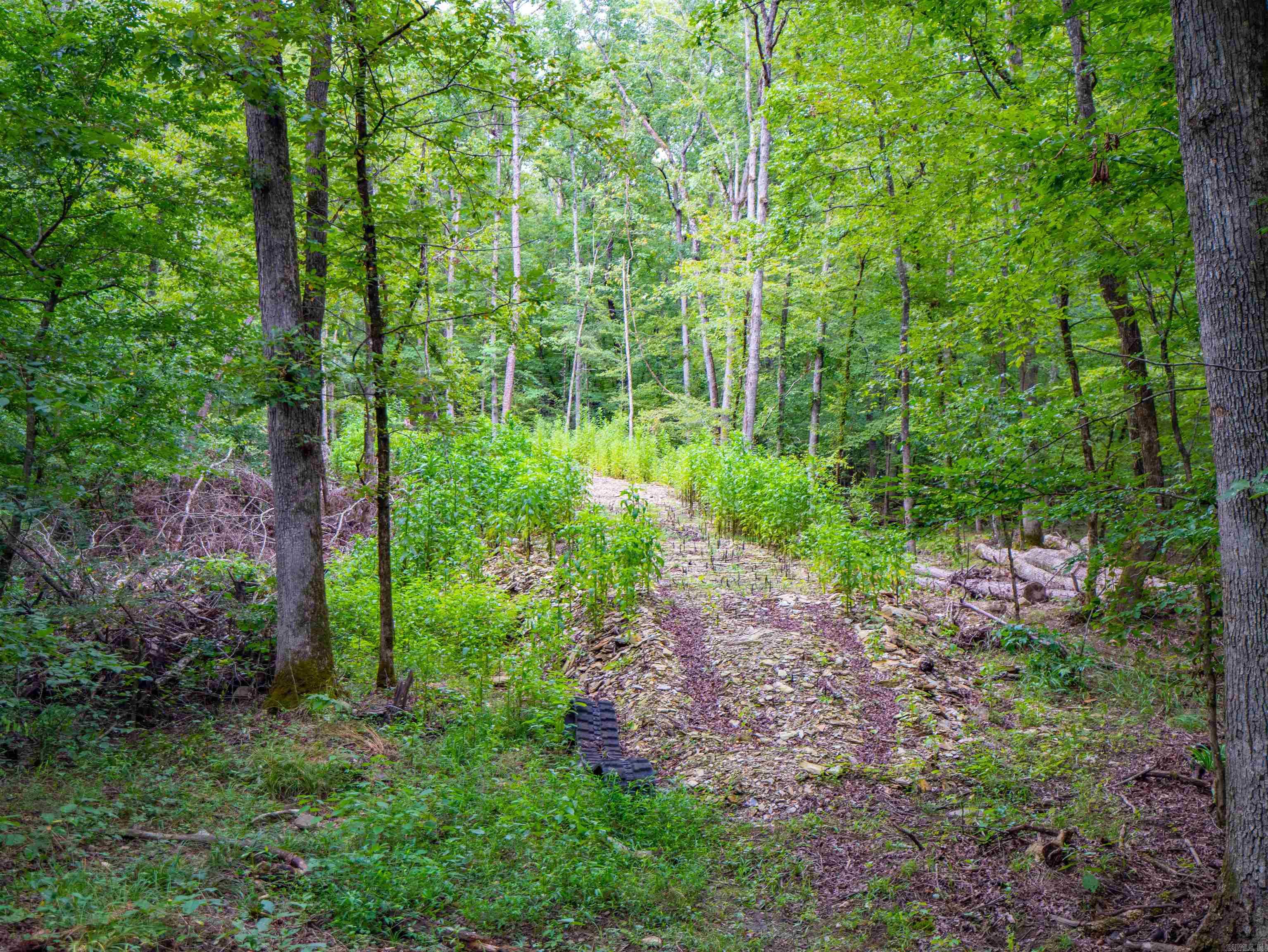 1 Camino  Hot Springs Village, AR