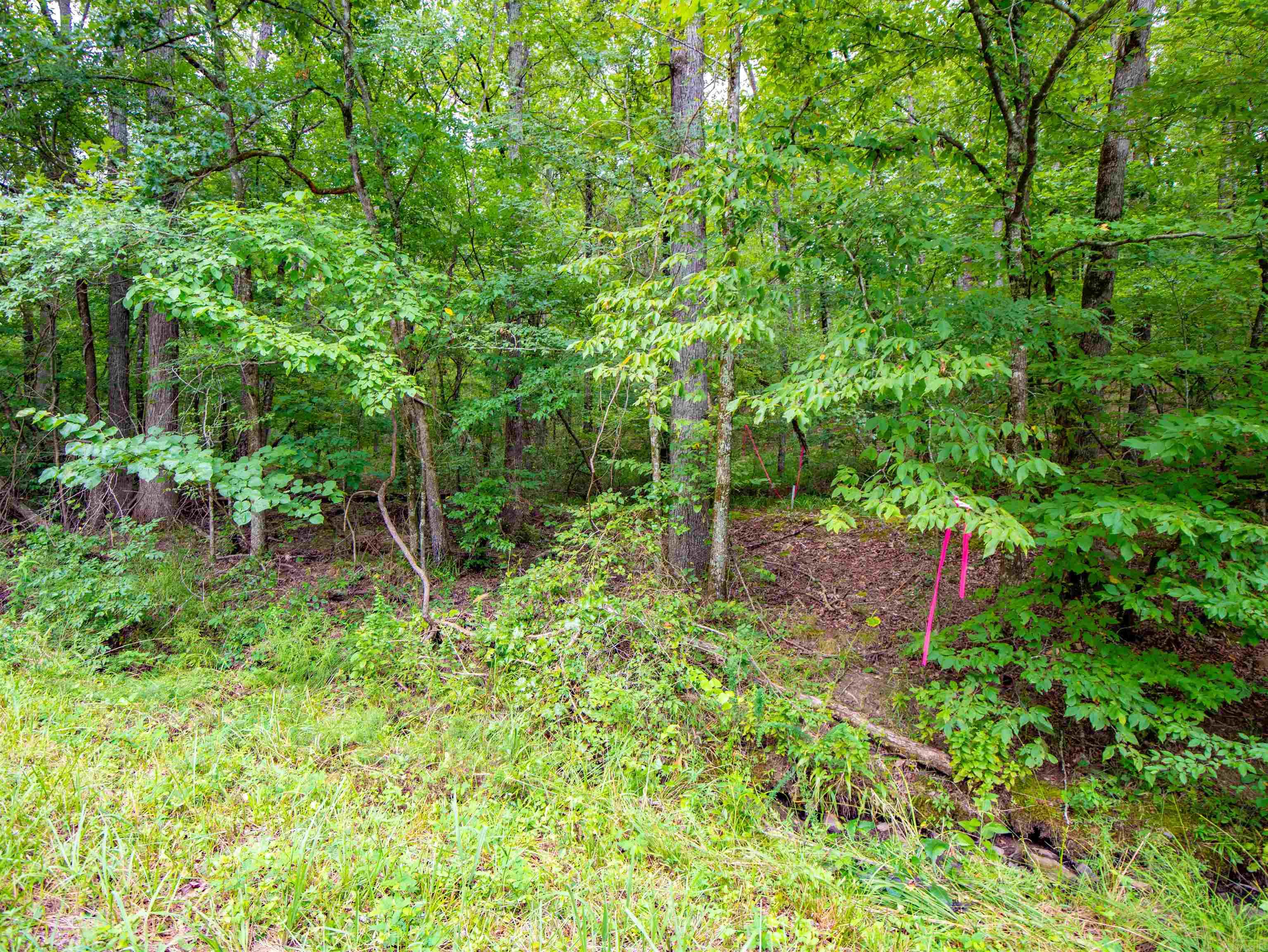 1 Camino  Hot Springs Village, AR